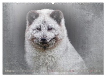 CALVENDO Wandkalender Tierische PORTRAITS hautNAH (Premium, hochwertiger DIN A2 Wandkalender 2023, Kunstdruck in Hochglanz)