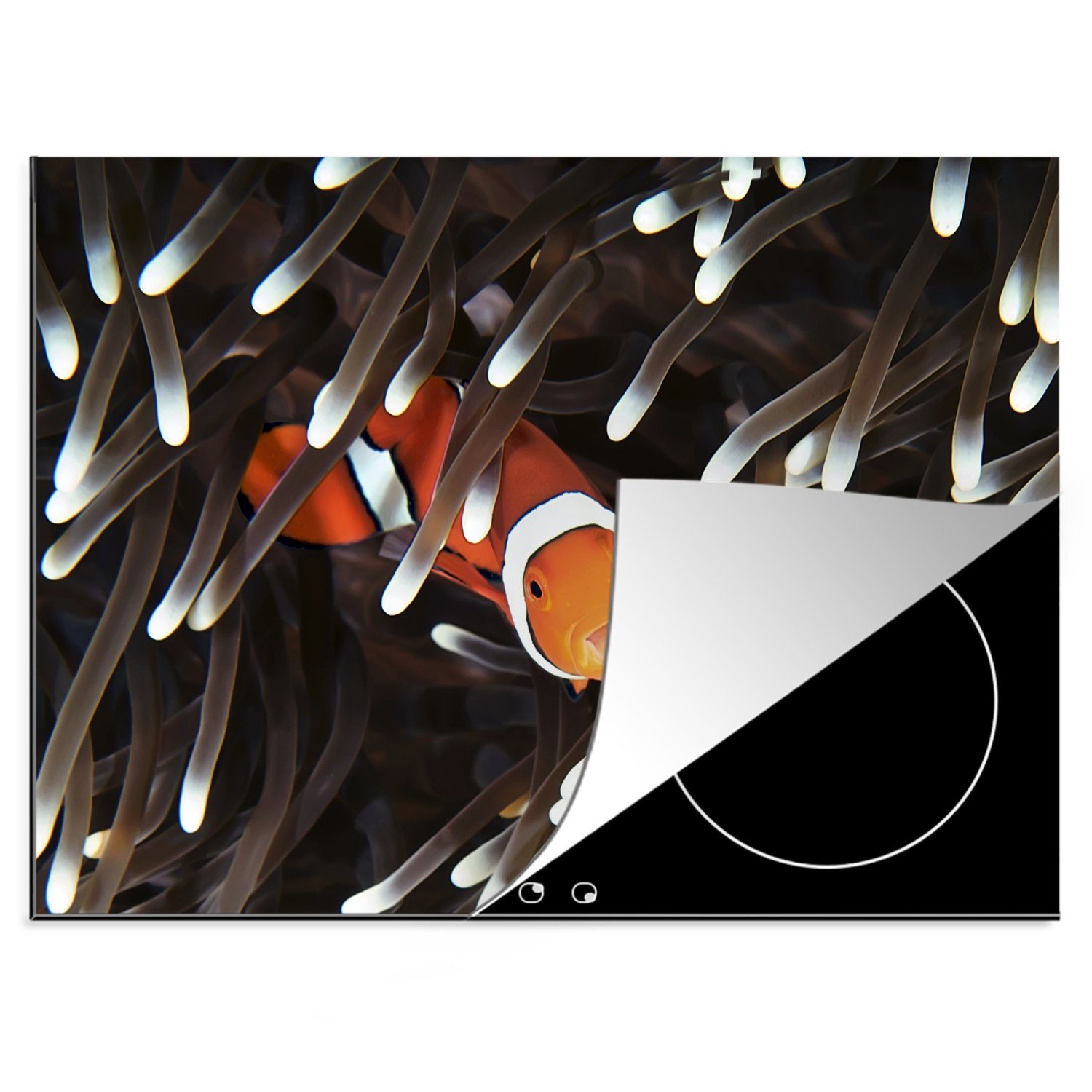 MuchoWow Herdblende-/Abdeckplatte Koralle - Clownfisch - Meer - Fisch, Vinyl, (1 tlg), 70x52 cm, Mobile Arbeitsfläche nutzbar, Ceranfeldabdeckung
