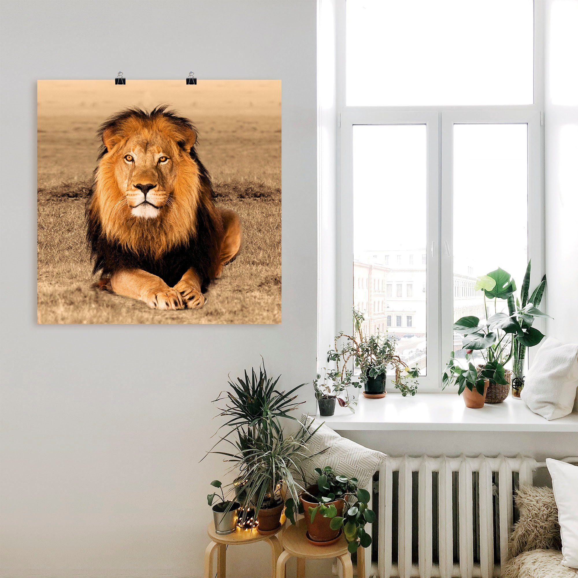 Wandbild Größen Leinwandbild, als oder in Artland Poster versch. Löwe, Wandaufkleber Wildtiere (1 Alubild, St),