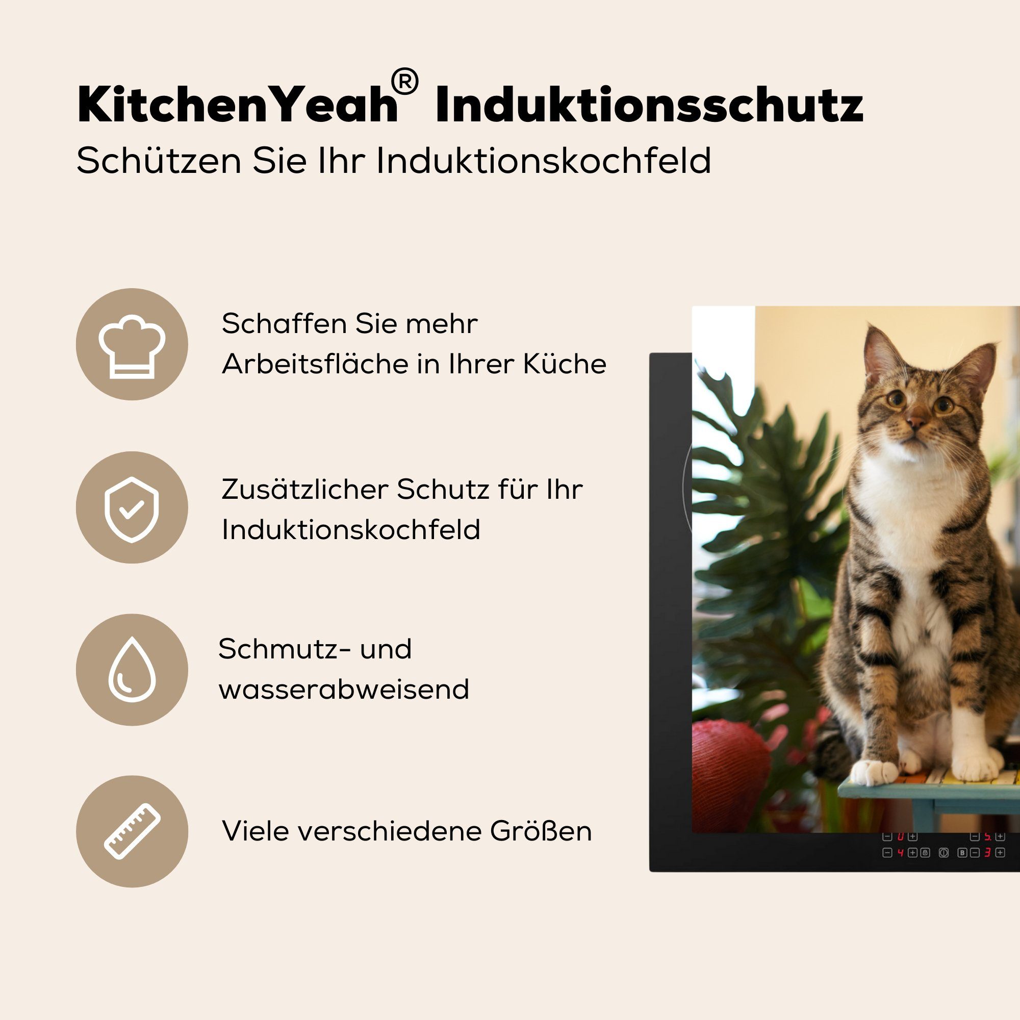 Schutz Vinyl, auf Induktionskochfeld die 81x52 Drei tlg), küche, Katzen cm, kleinem MuchoWow Tisch, für Herdblende-/Abdeckplatte Ceranfeldabdeckung (1