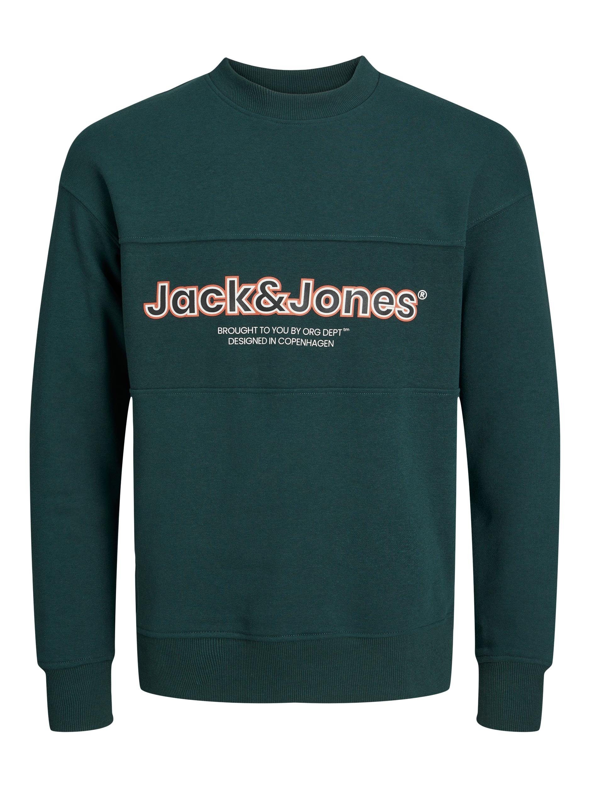 Jack & Jones Junior Sweatshirt JORLAKEWOOD SWEAT NECK BF magical forest CREW JNR