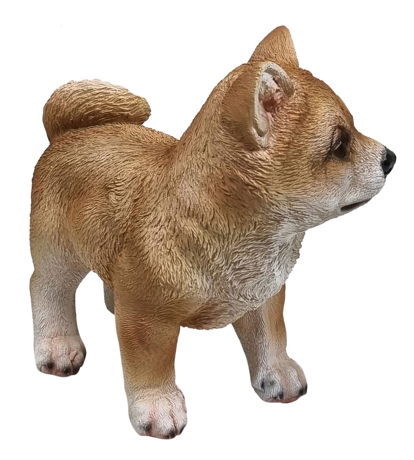 Dekofigur Plus stehend Inu Fachhandel Shiba Hundewelpe