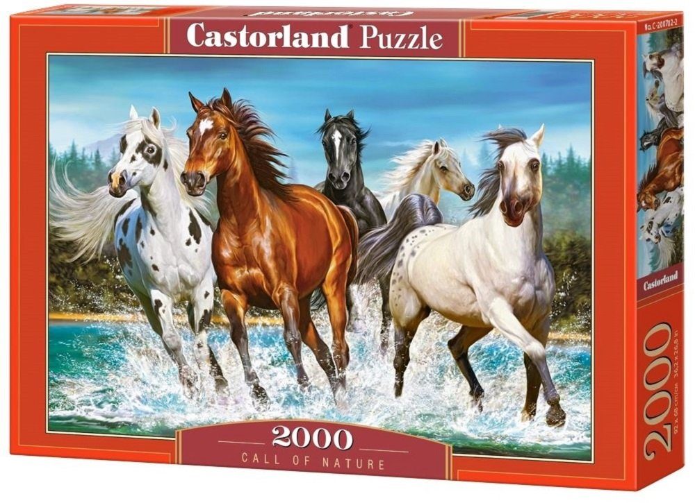 Castorland Puzzle Landschaften, Malerei, Fantasie, Maritim, Stillleben, Tiere, 2000 Puzzleteile, Kinder und Erwachsene trainieren beim Rätsel - Puzzeln