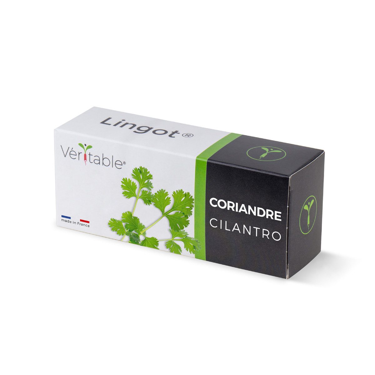 Anzuchttopf Lingot Cilantro