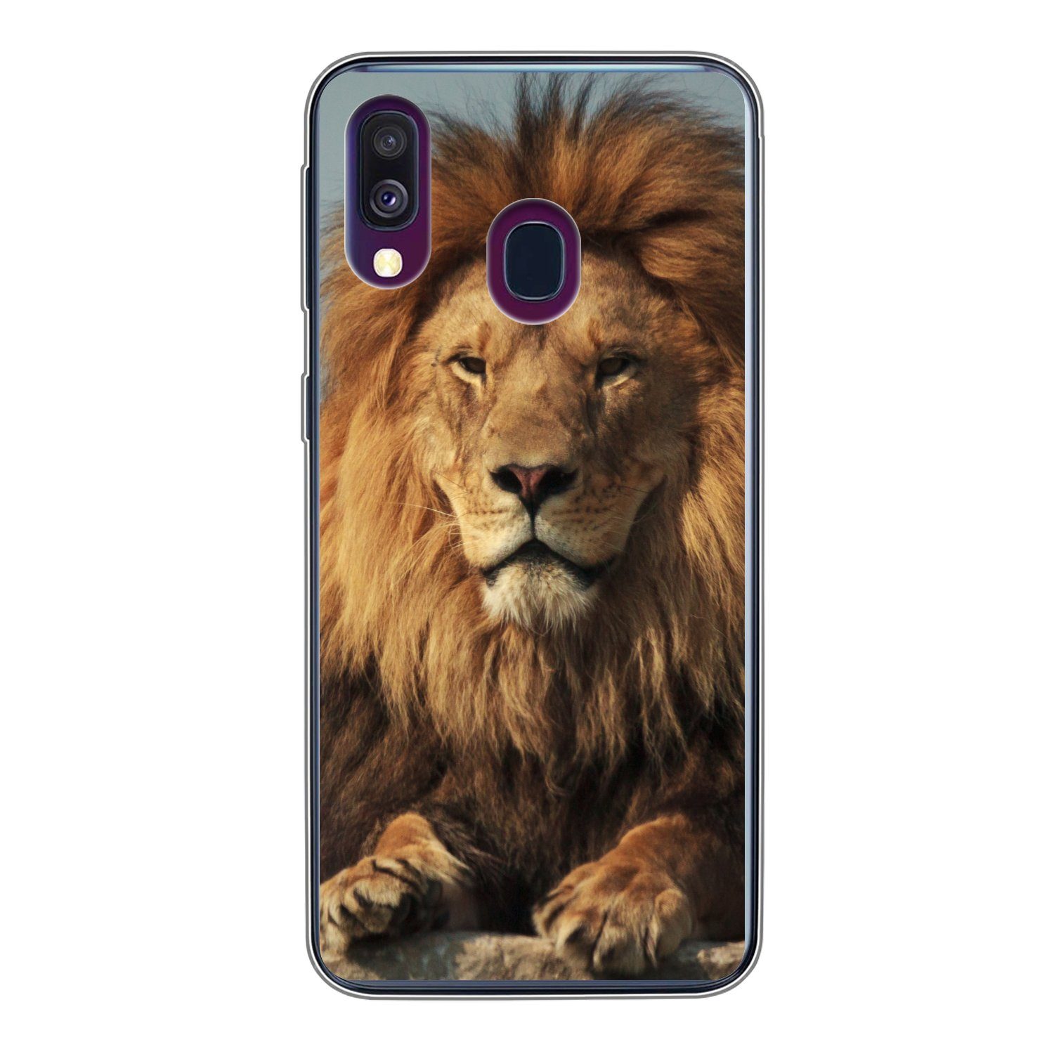 MuchoWow Handyhülle für Samsung Galaxy A40 Löwe - Felsen - Porträt, Smartphone-Bumper, Print, Handy Schutzhülle Dünn