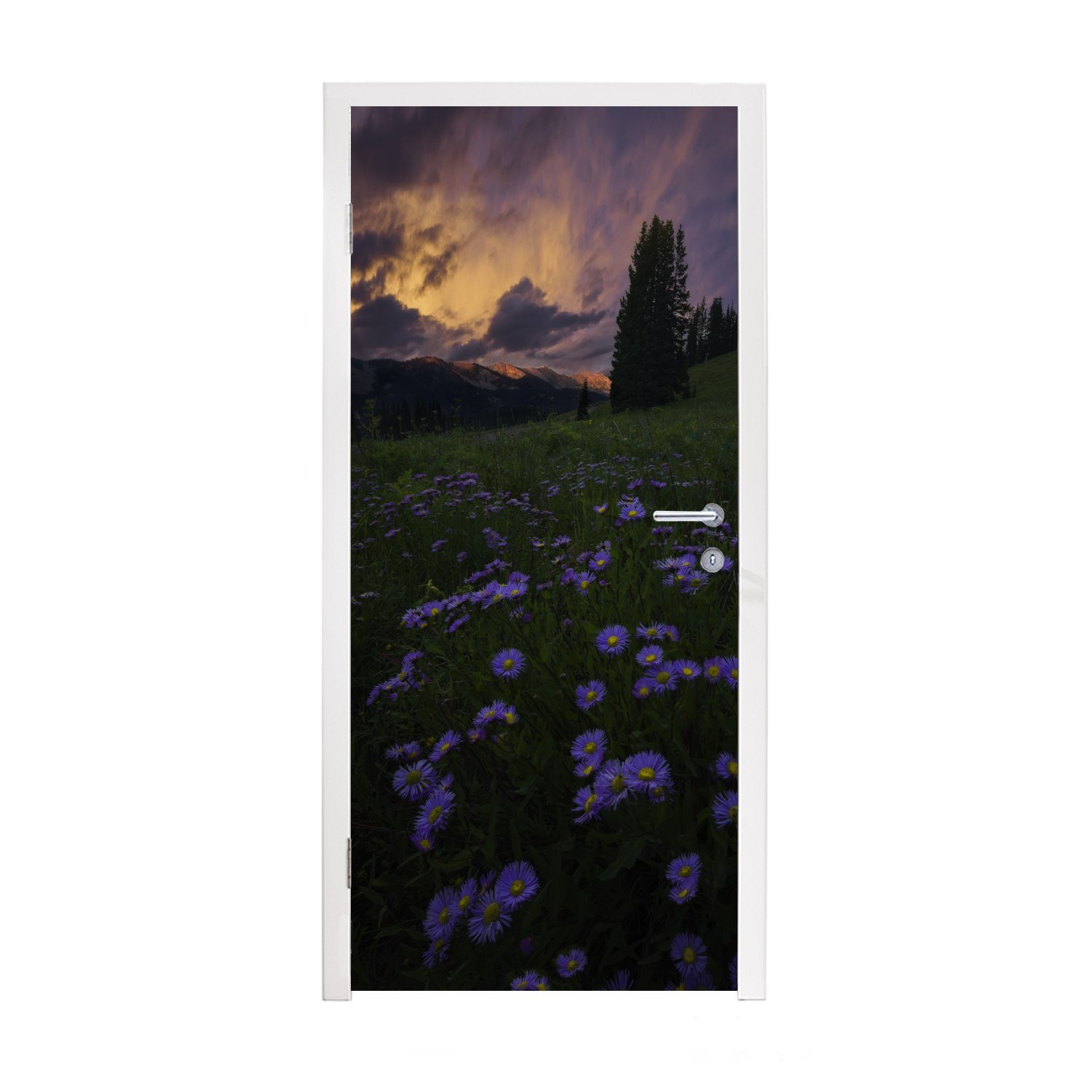 MuchoWow Türtapete Rocky Mountains - Blumen - Abenddämmerung, Matt, bedruckt, (1 St), Fototapete für Tür, Türaufkleber, 75x205 cm