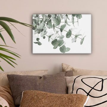 OneMillionCanvasses® Leinwandbild Eukalyptus - Blätter - Natur - Grün, Grun, Weiß (1 St), Leinwand Bilder Klein, Wand Dekoration 30x20 cm