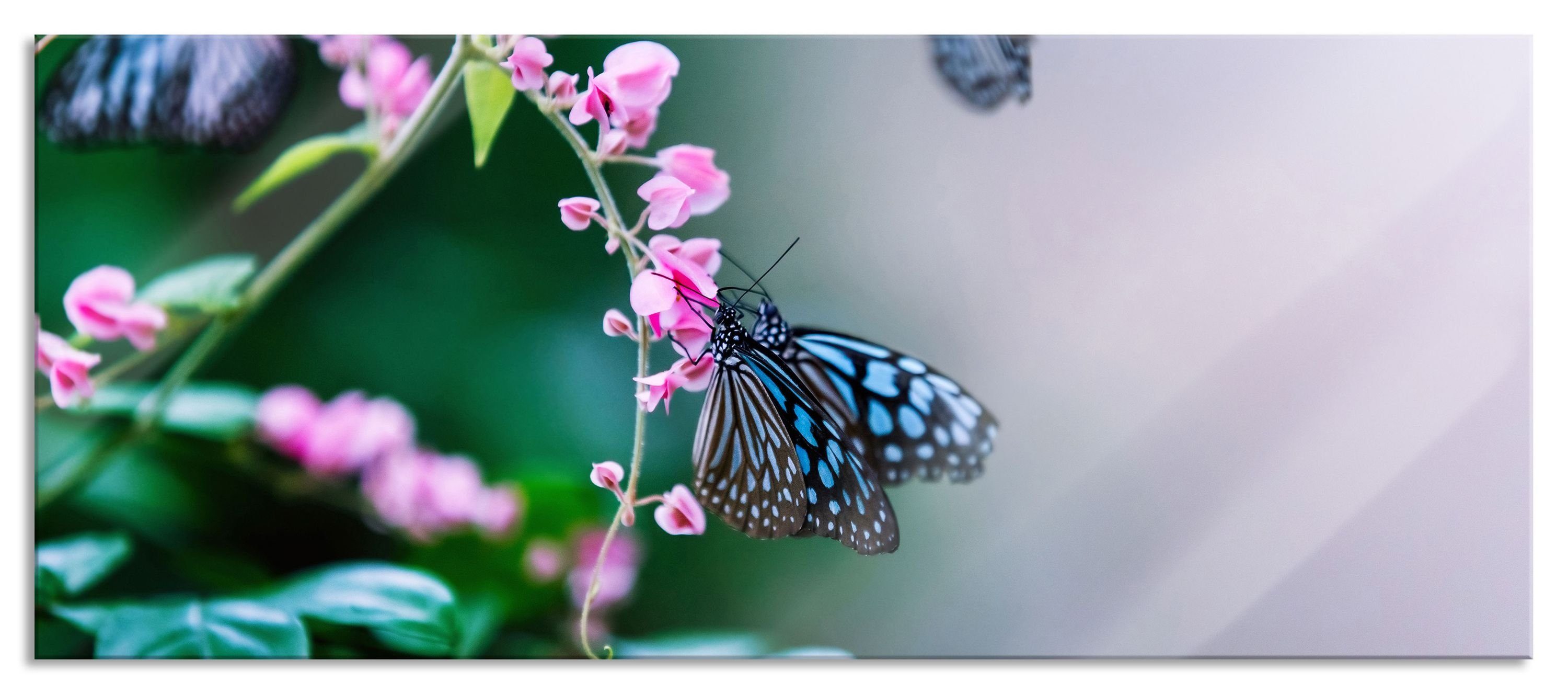 Pixxprint Glasbild Schmetterlinge auf rosa Blumen, Schmetterlinge auf rosa Blumen (1 St), Glasbild aus Echtglas, inkl. Aufhängungen und Abstandshalter