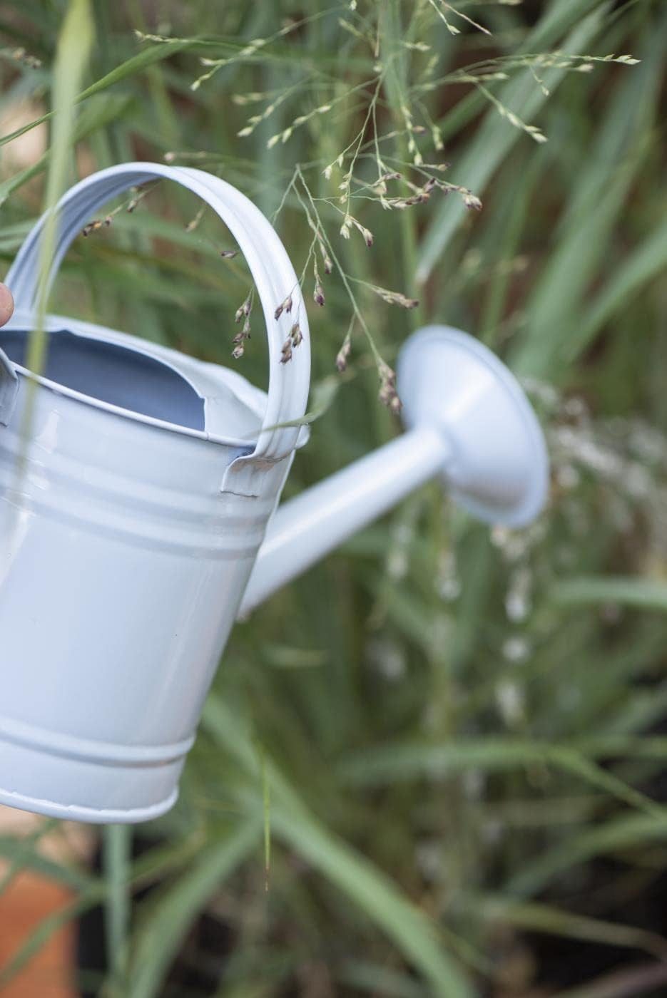 Ib Laursen Gießkanne Gießkanne Kindergießkanne Metall 0,8 Liter kleine Gießkanne Vintage (1 Kanne), Mit langem Ausgießer für präzises und sauberes Gießen