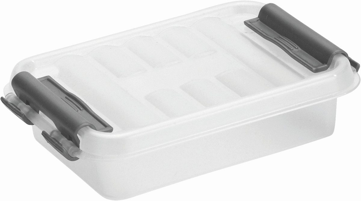 Sunware Aufbewahrungsbox Aufbewahrungsbox mit Deckel 0,2 günstig online kaufen