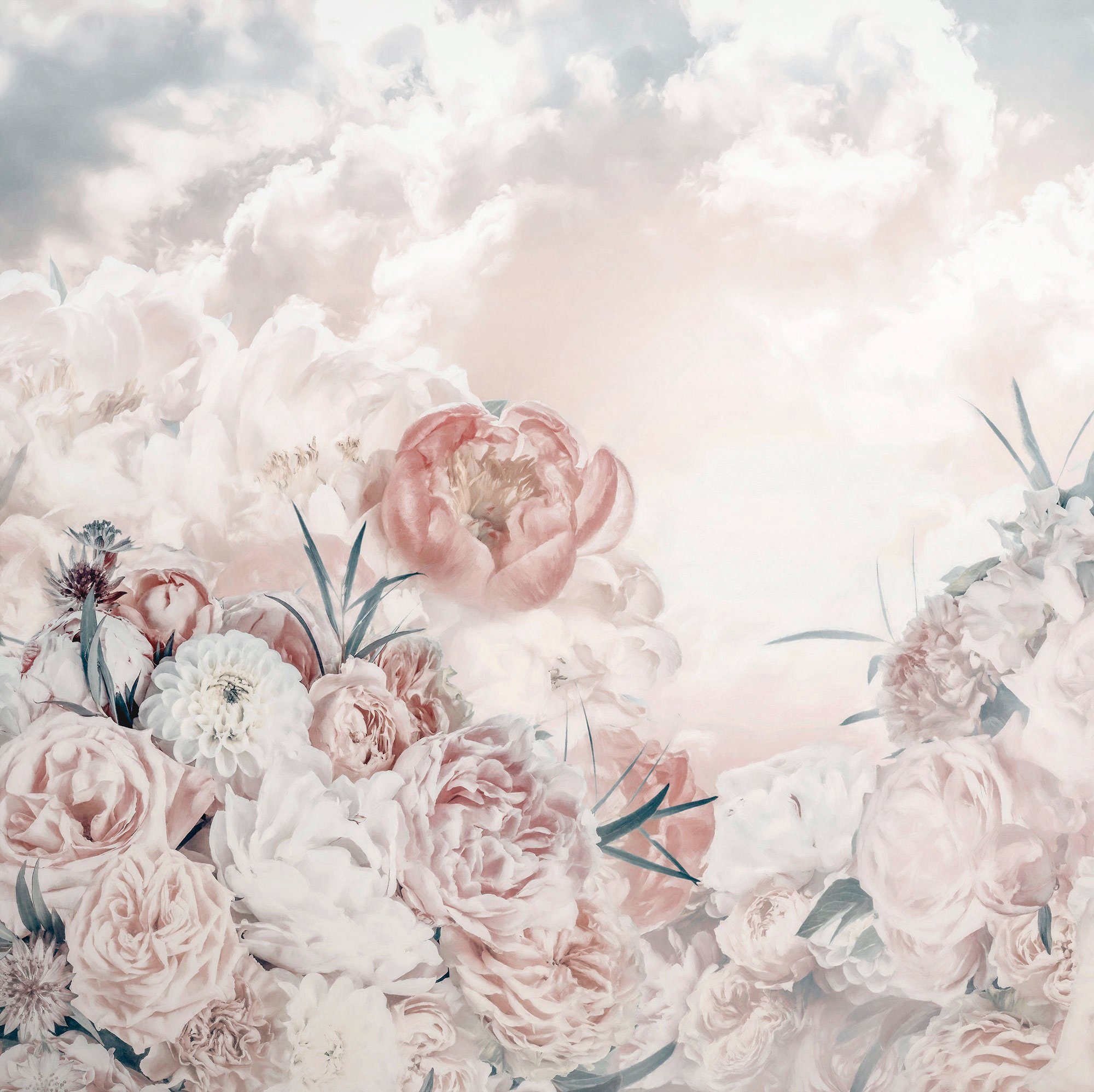 Vliestapete Digitaldruck Vlies - Blossom Clouds - Größe 250 x 250 cm