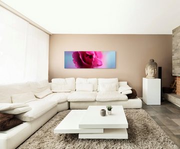 Sinus Art Leinwandbild Naturfotografie  Pinke Blüte auf Leinwand exklusives Wandbild moderne Fotografie für ihre Wand in v