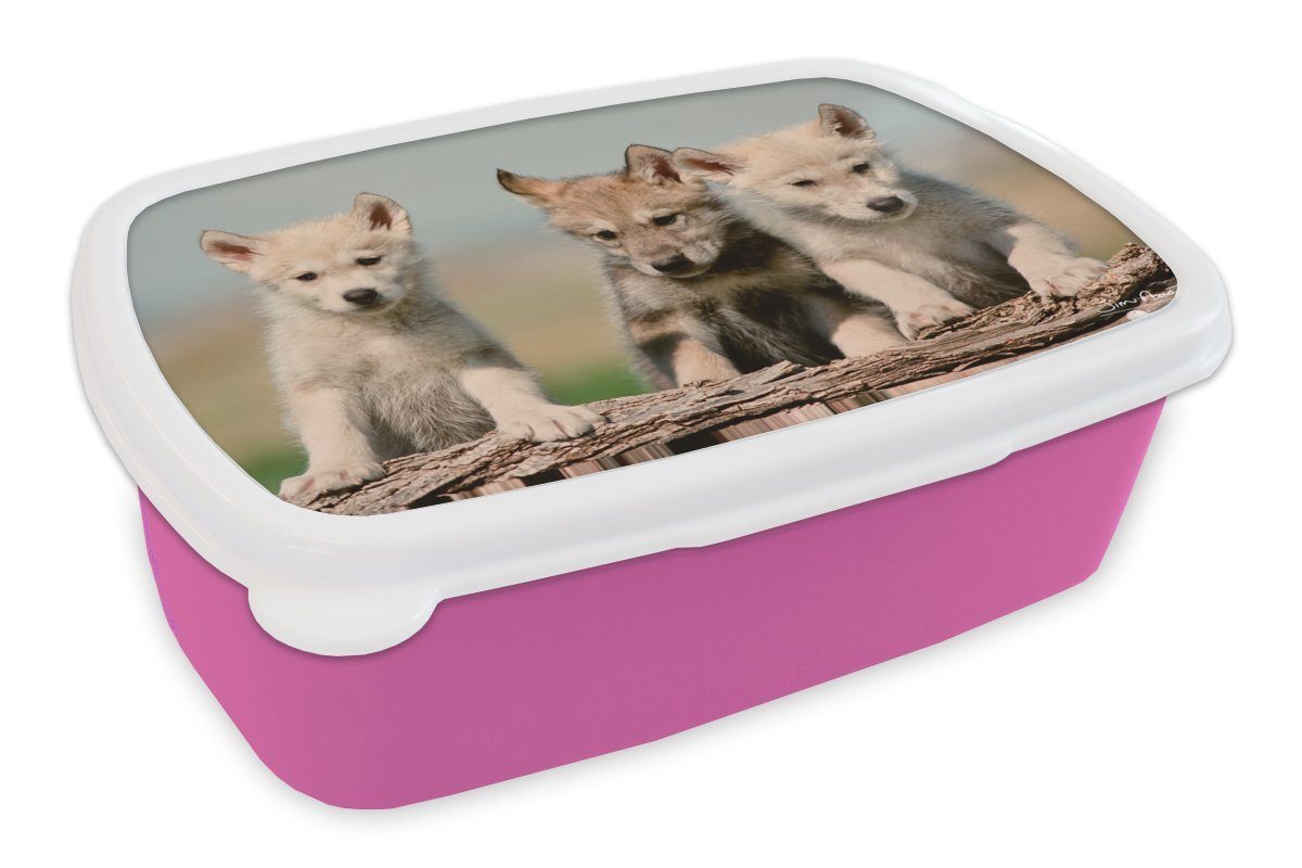 für Kinder, Snackbox, Wolf Mädchen, - Brotdose Kind Erwachsene, - Kunststoff (2-tlg), Lunchbox Brotbox MuchoWow Kunststoff, rosa Holz,