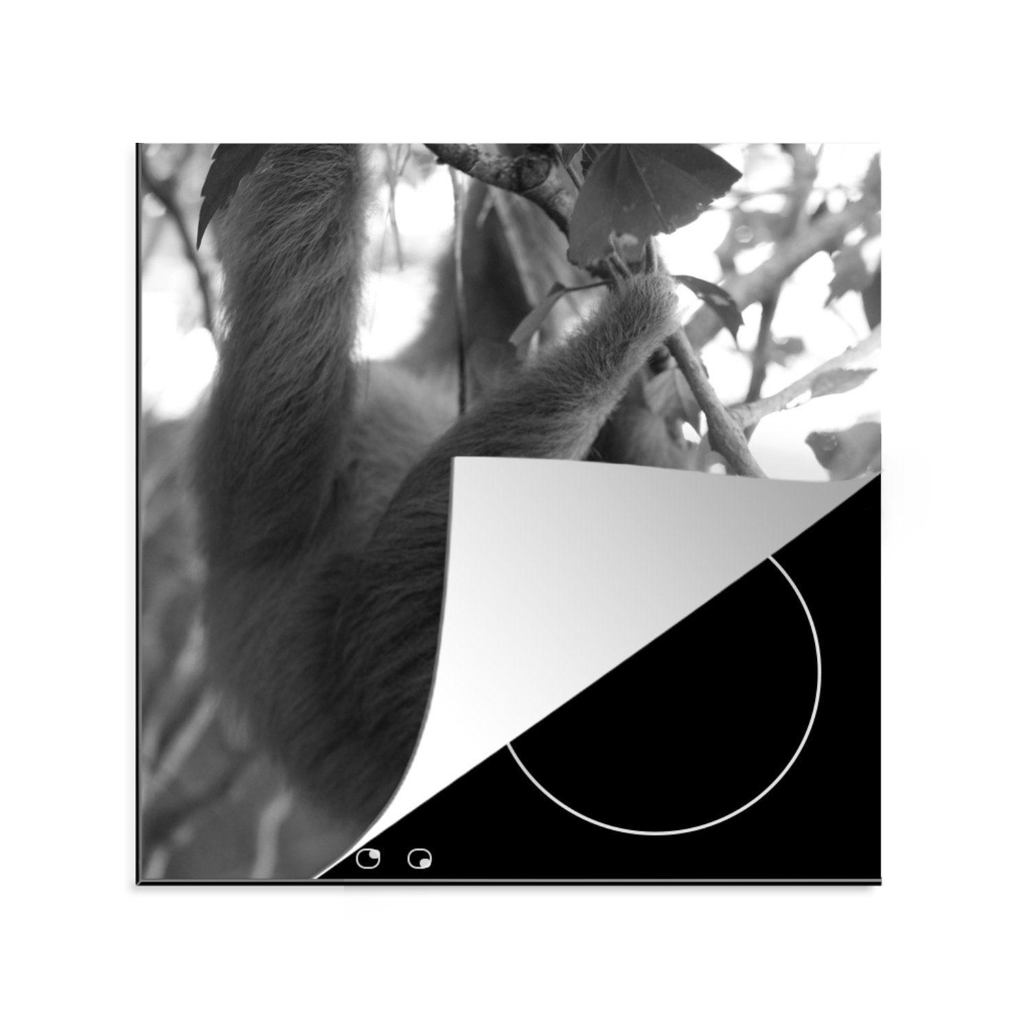 MuchoWow Herdblende-/Abdeckplatte Babyfaultier im Regenwald von Costa Rica in schwarz-weiß, Vinyl, (1 tlg), 78x78 cm, Ceranfeldabdeckung, Arbeitsplatte für küche