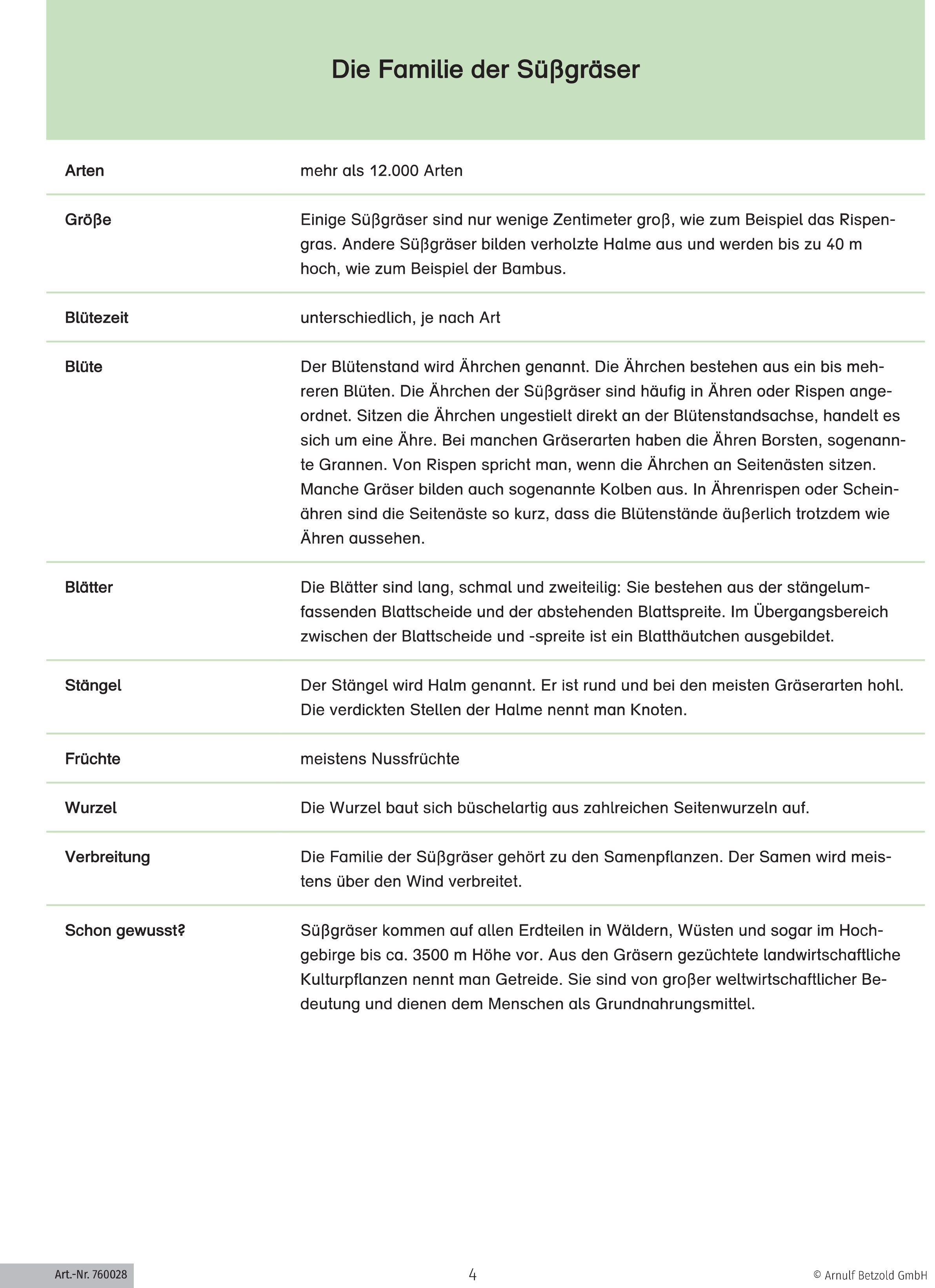 Betzold Lernspielzeug Themenheft „Getreidearten bestimmen“