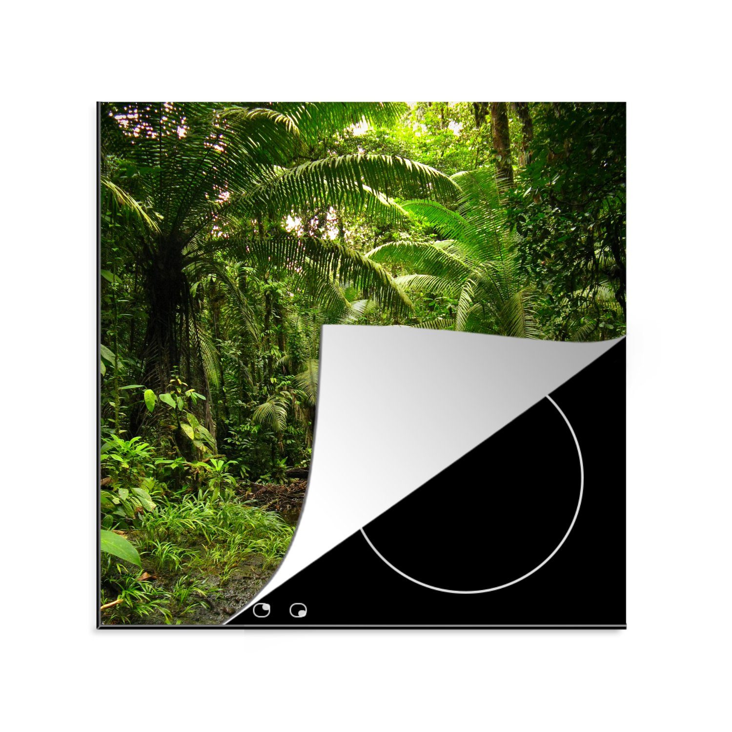 MuchoWow Herdblende-/Abdeckplatte 78x78 für Vinyl, küche Arbeitsplatte Tropischer in Ceranfeldabdeckung, tlg), cm, Kolumbien, Regenwald (1