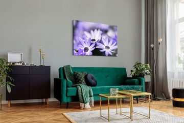 Sinus Art Leinwandbild 120x80cm Wandbild auf Leinwand Weiße Blumen Blüten Violett Feldblumen, (1 St)