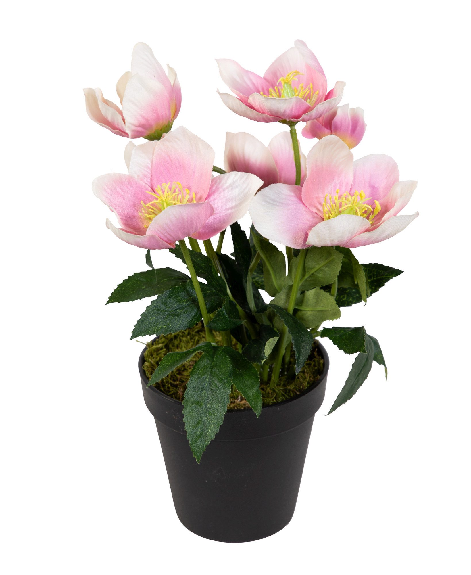 Kunstblume Christrosenbusch im Topf PM Kunstpflanzen künstliche Blumen Chri günstig online kaufen