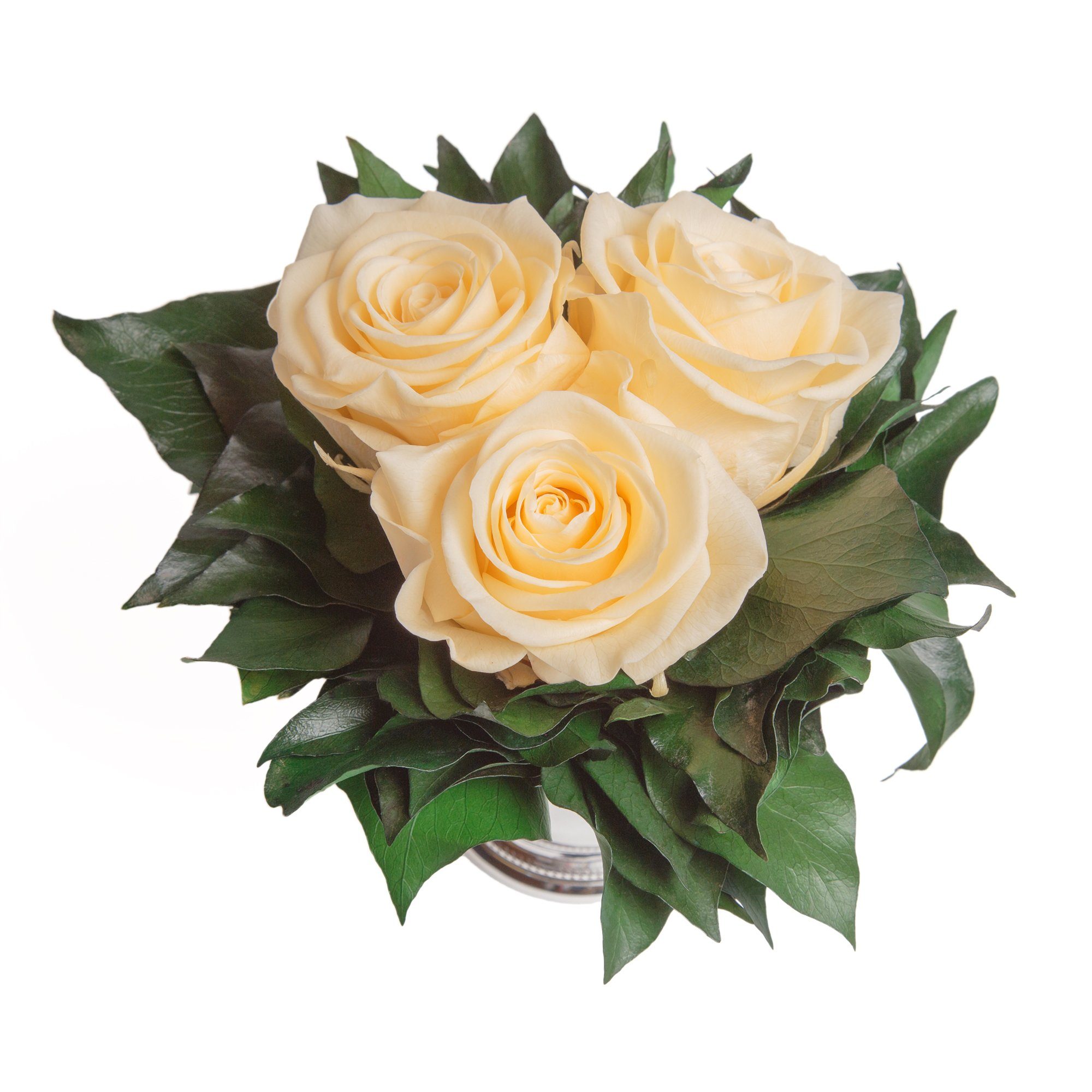Deko Infinity Vase Rose 3 3 cm, ROSEMARIE haltbar Champagner Jahre Rose, SCHULZ Heidelberg, Blumenstrauß Wohnzimmer Höhe bis 15 silberfarbene zu Kunstorchidee Rosen