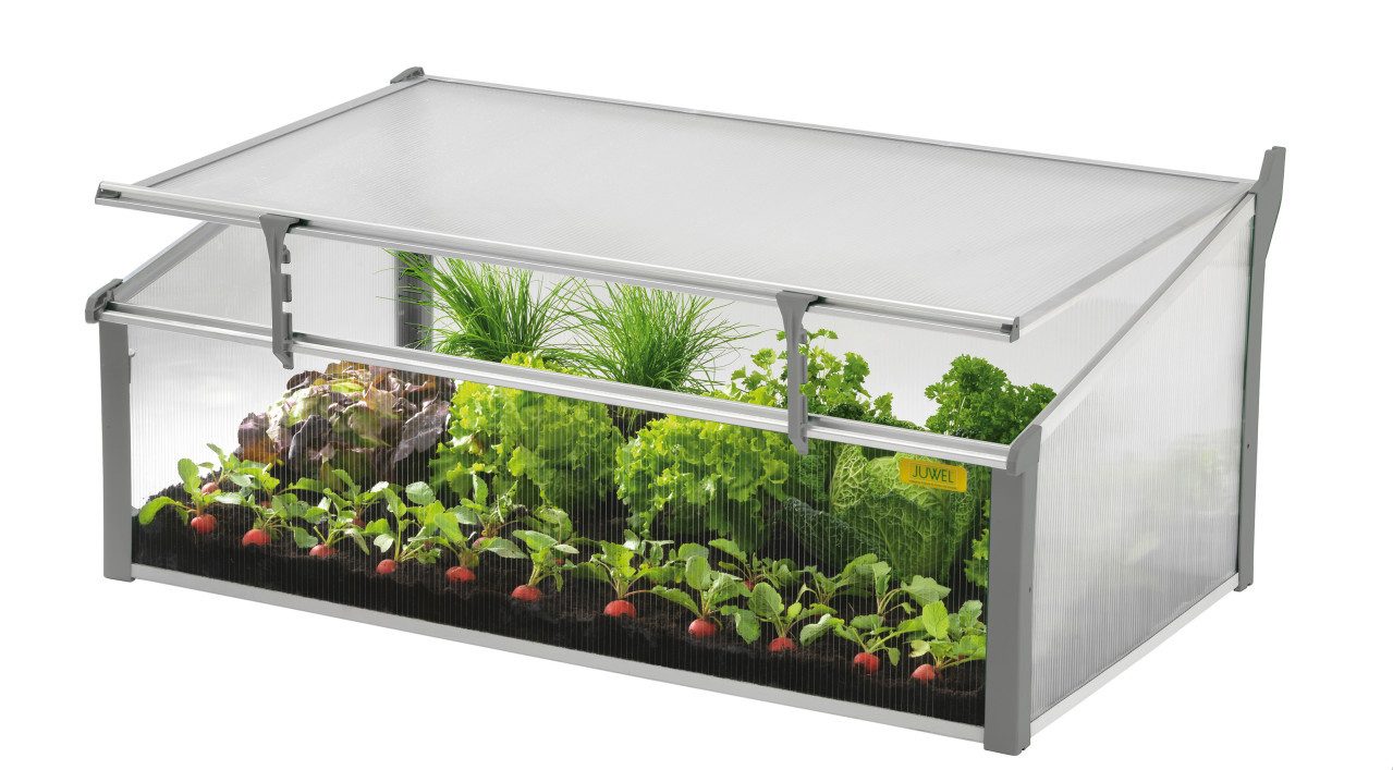 Juwel Frühbeet Juwel Frühbeet Easy Fix 100 x 60 cm