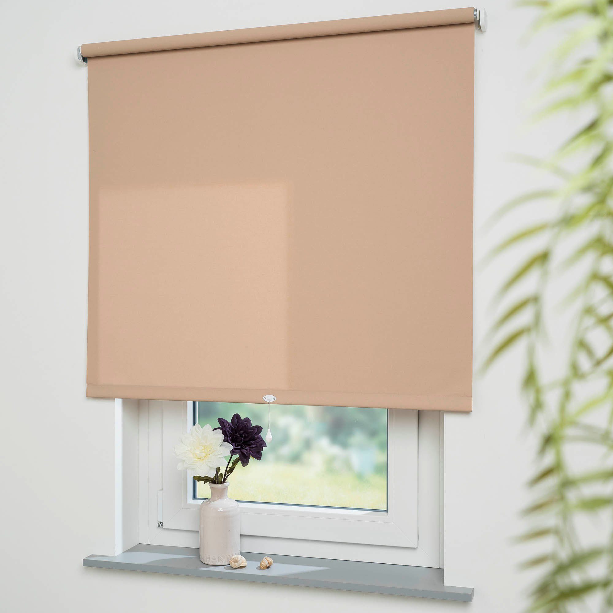 Springrollo Uni, Liedeco, Lichtschutz, mit Bohren, günstig online kaufen