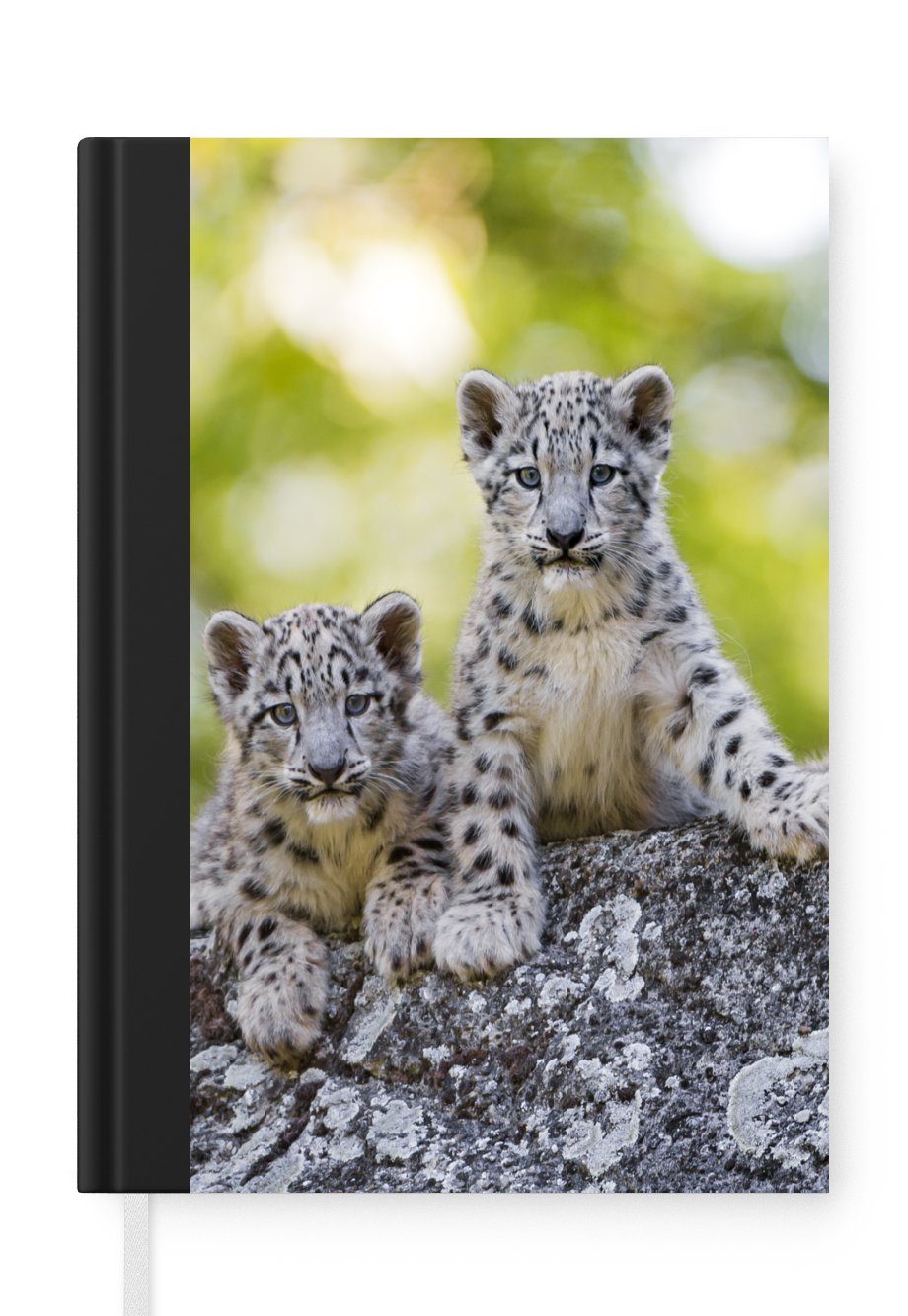 MuchoWow Notizbuch Leopard - Jungtiere - Steine, Journal, Merkzettel, Tagebuch, Notizheft, A5, 98 Seiten, Haushaltsbuch