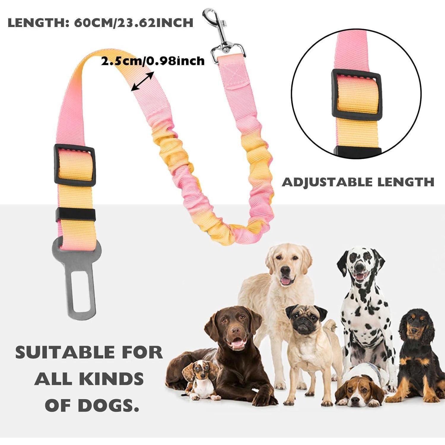 LuxusKollektion Autohundegeschirr Anschnallgurt Hund 2er verstellbar 60-88 elastisch mit Farbverlauf