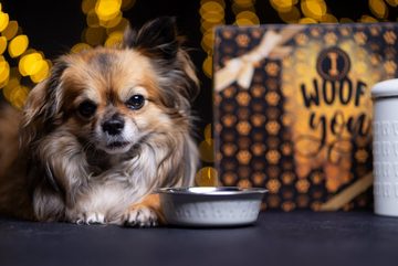 Qchefs Futterbehälter Glückskiste Set Hund Geschenk für Hunde Besitzer mit Natur Zahnpflege, Edelstahl- recycelbar- lebensmittelecht 23 x 15 cm