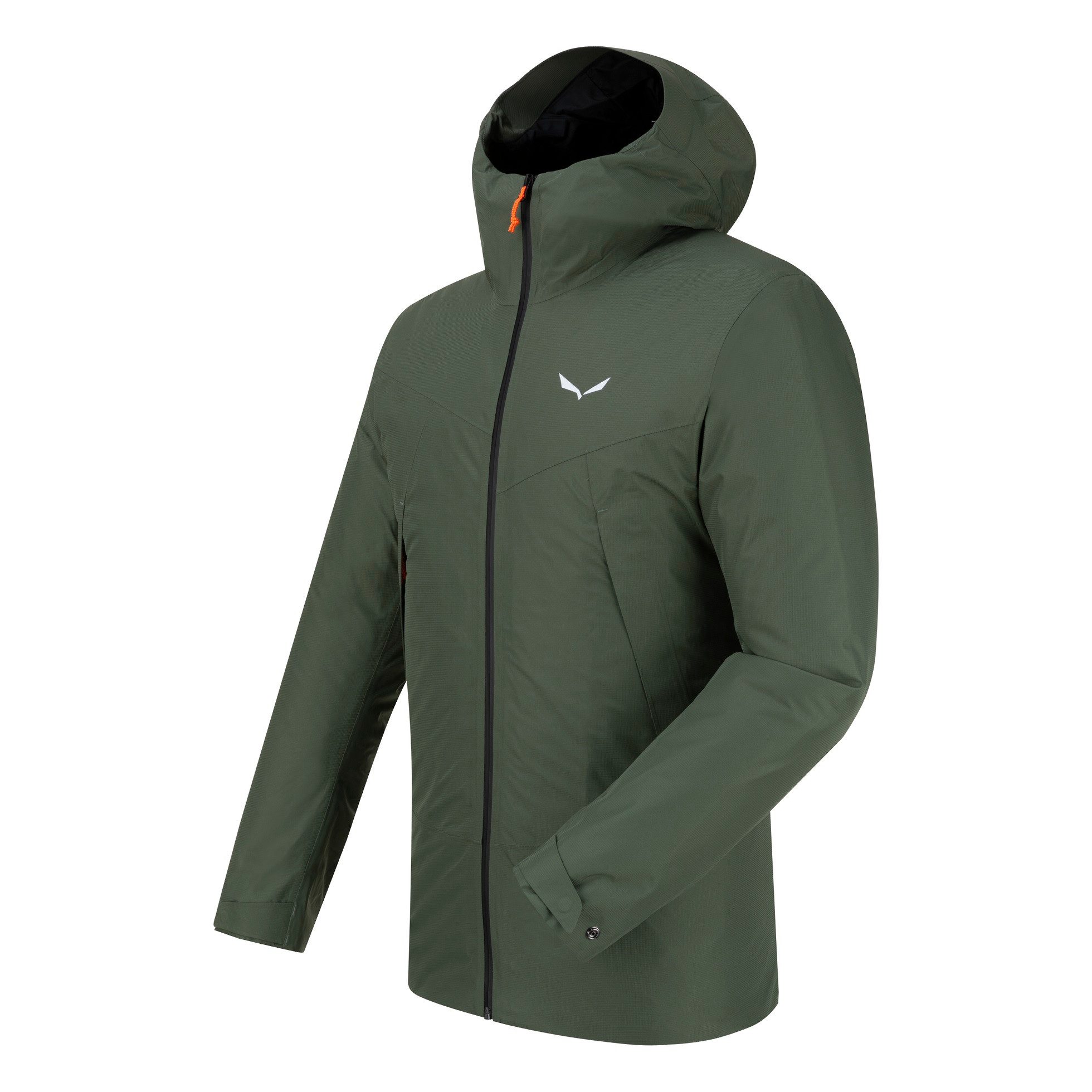 Salewa Winterjacke Fanes 2in1 Powertex (2-Lagen-Jacke, wasserdicht) thymegrün Herren