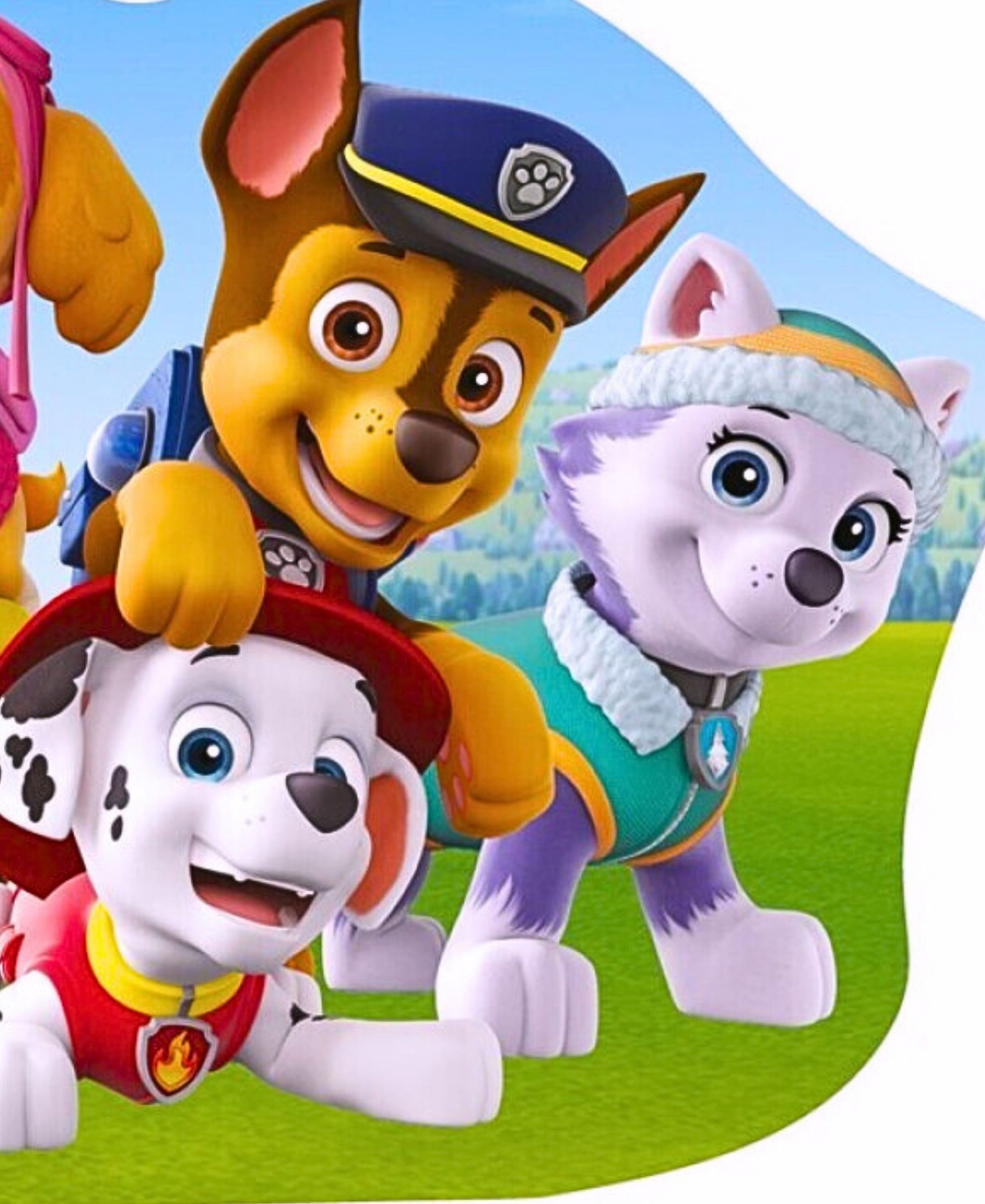 Peppa Pig Dekokissen Paw Patrol Team, Kinder Formkissen Kuschelkissen 34 x 26 cm