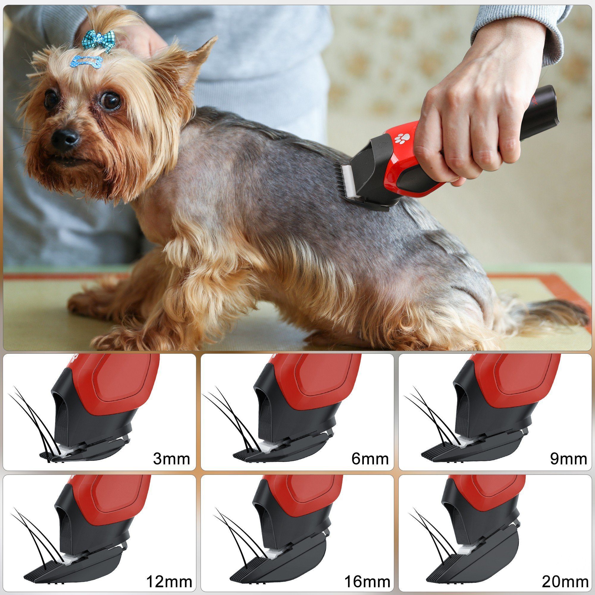 Scttomon Hundeschermaschine SK-1821, Mit Schere und Kamm, Profi Tierhaarschneider für Hund und Katze