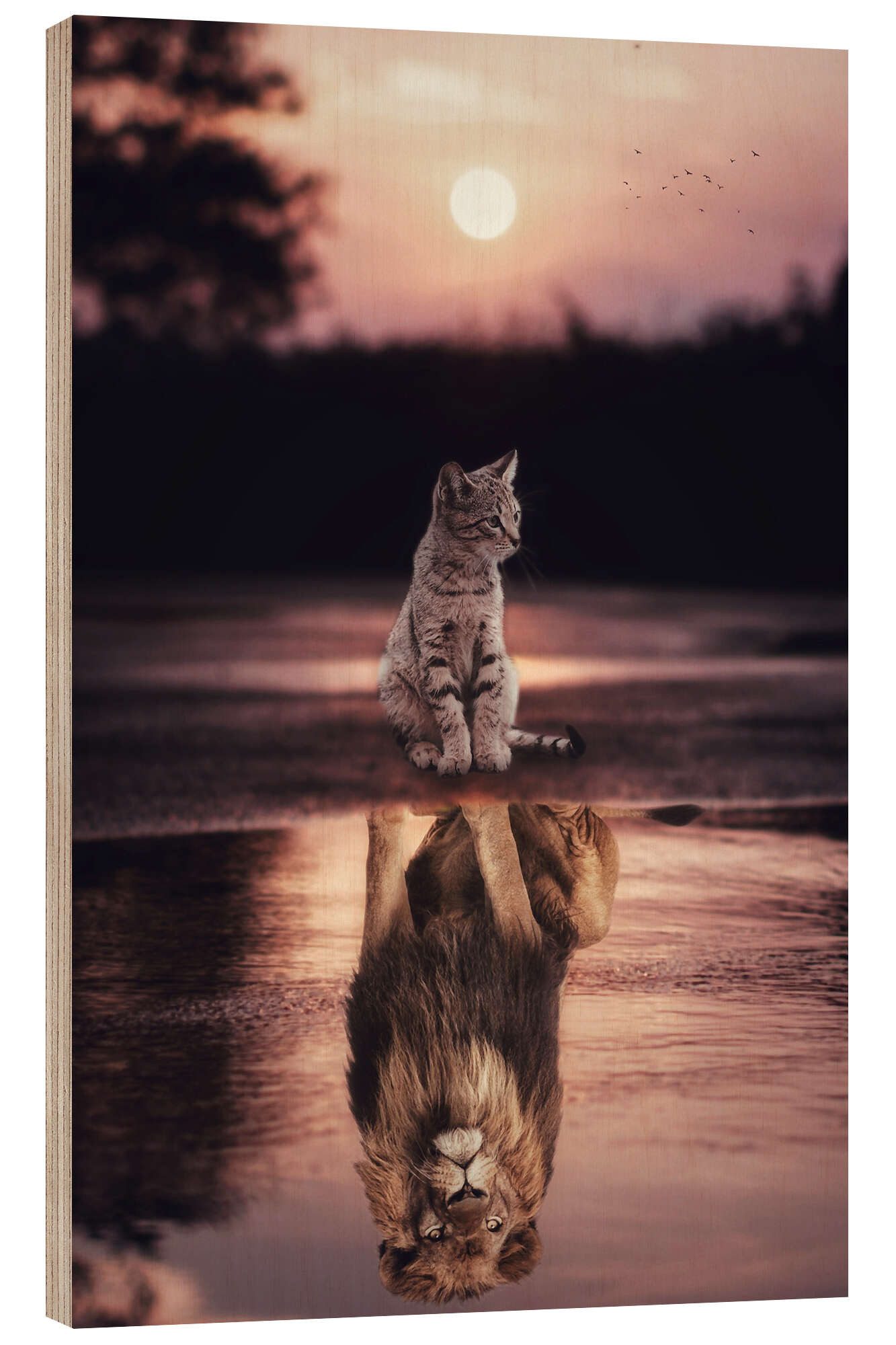 Posterlounge Wandbild Dream Big - Kleine Katze wird zum Löwen, Gen Z, erhältlich als Poster, Leinwandbild, Wandsticker oder Acrylglasbild