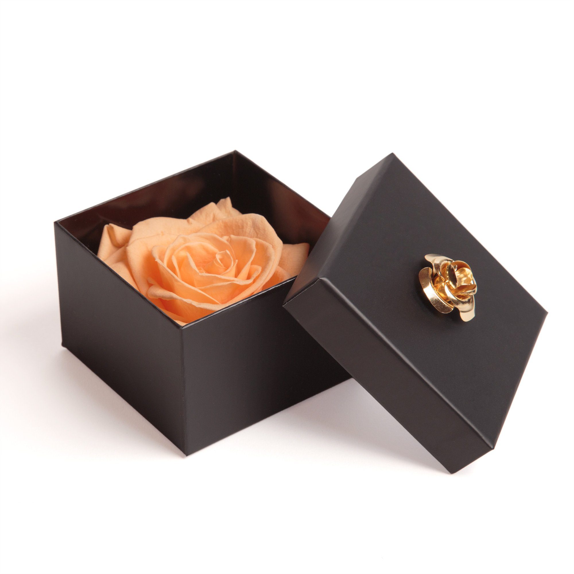Box Blumendeckel 3 Kunstblume ROSEMARIE haltbar Rose 6.5 Jahre mit SCHULZ bis Infinity 1 Jahre Echte cm, Rose, haltbar zu in Rose 3 Heidelberg, peach Rose Höhe