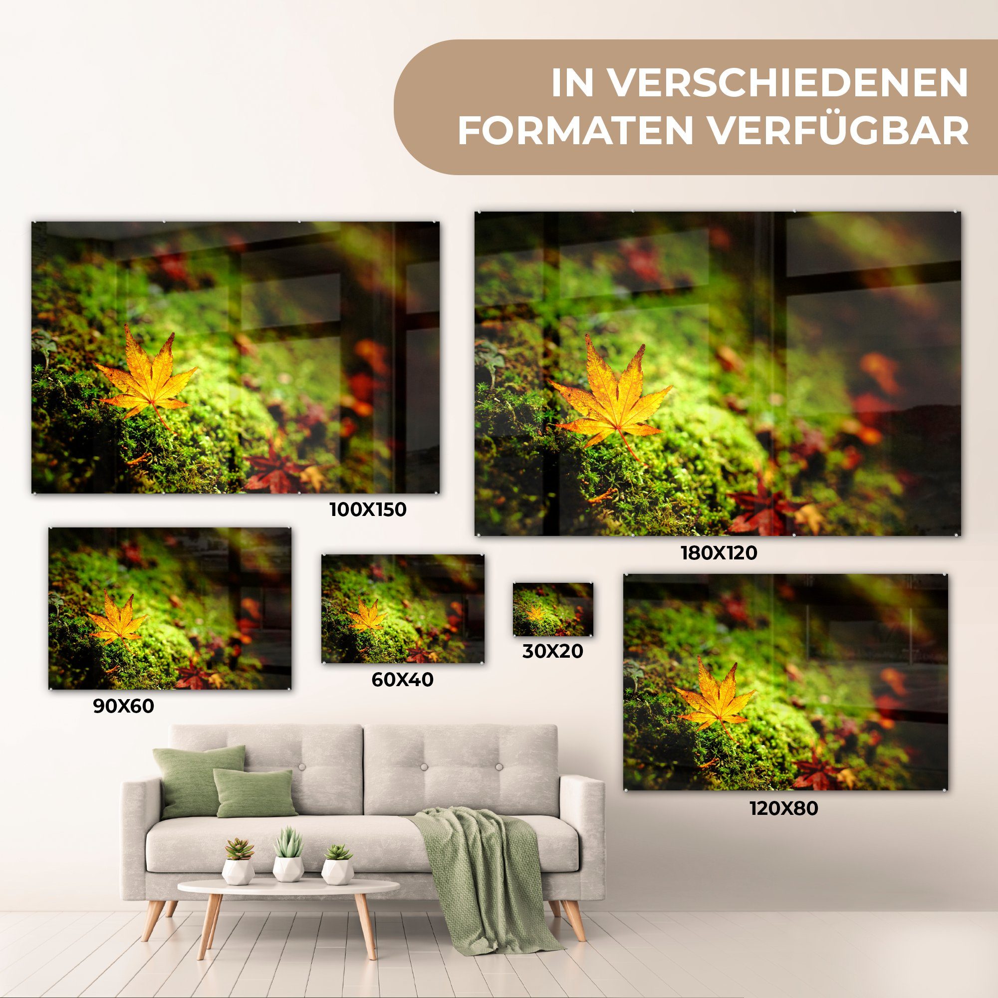 - - Herbst & Wohnzimmer MuchoWow Acrylglasbild (1 Schlafzimmer Laub Moos, St), Acrylglasbilder