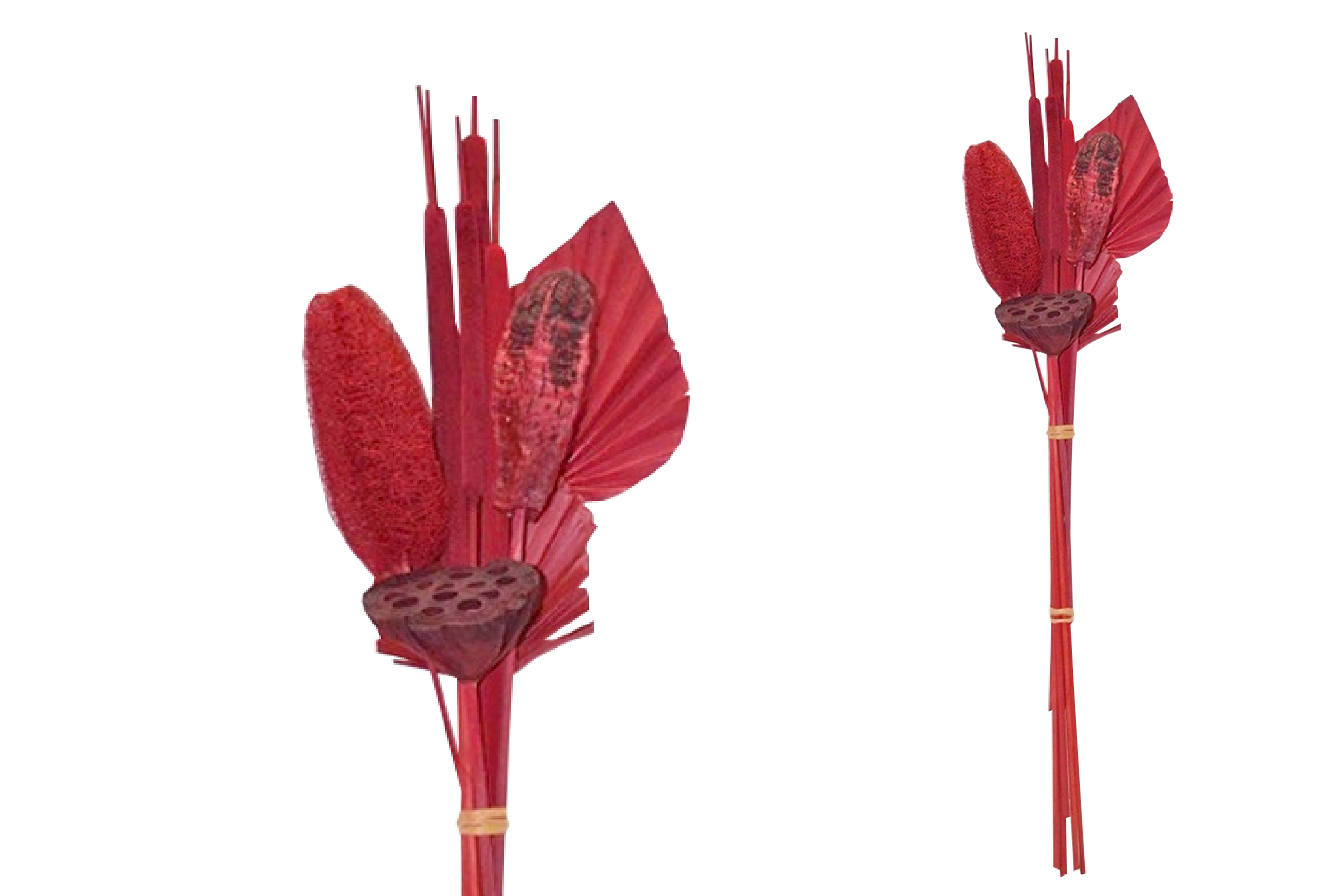 Trockenblume Grabstrauß BOHO Style Little Palm rot 64cm Exoten Grabdeko, finehomegarden, Höhe 64 cm, Grabgestecke Всеheiligen Totensontag Trockenstrauß