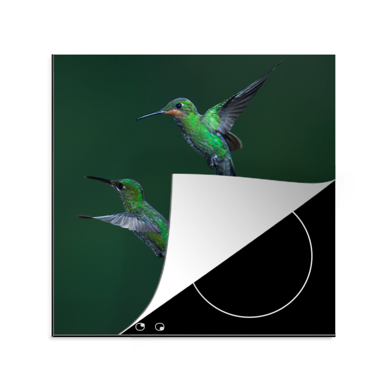 MuchoWow Herdblende-/Abdeckplatte Vögel - Kolibri - Grün, Vinyl, (1 tlg), 78x78 cm, Ceranfeldabdeckung, Arbeitsplatte für küche