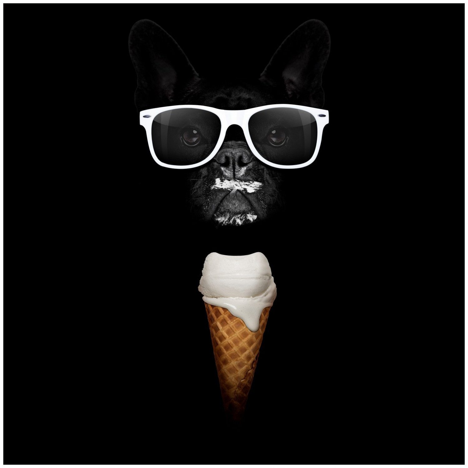 Wallario Möbelfolie Hund mit Eis