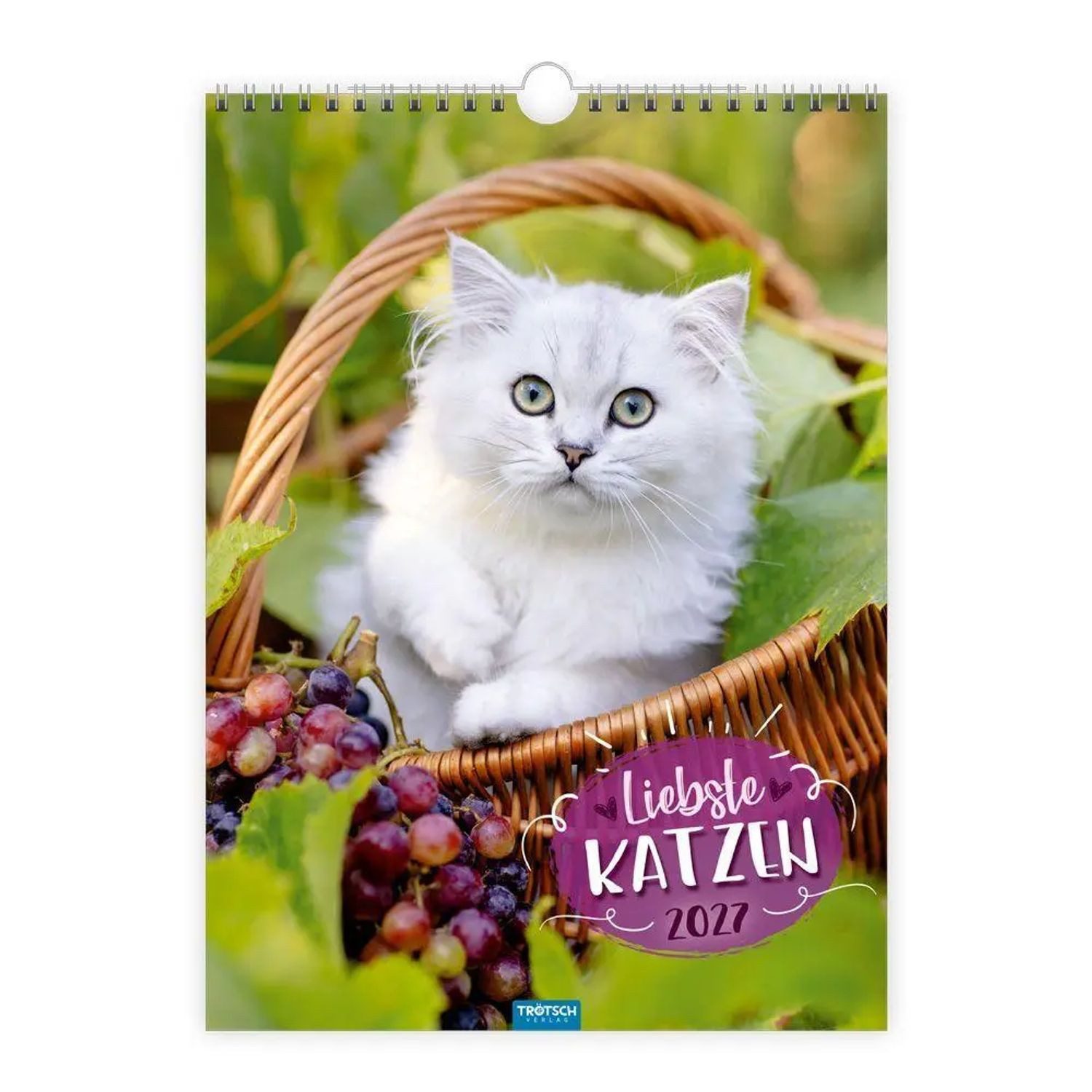 Trötsch Verlag Wandkalender TRÖTSCH - Classickalender Liebste Katzen 2027