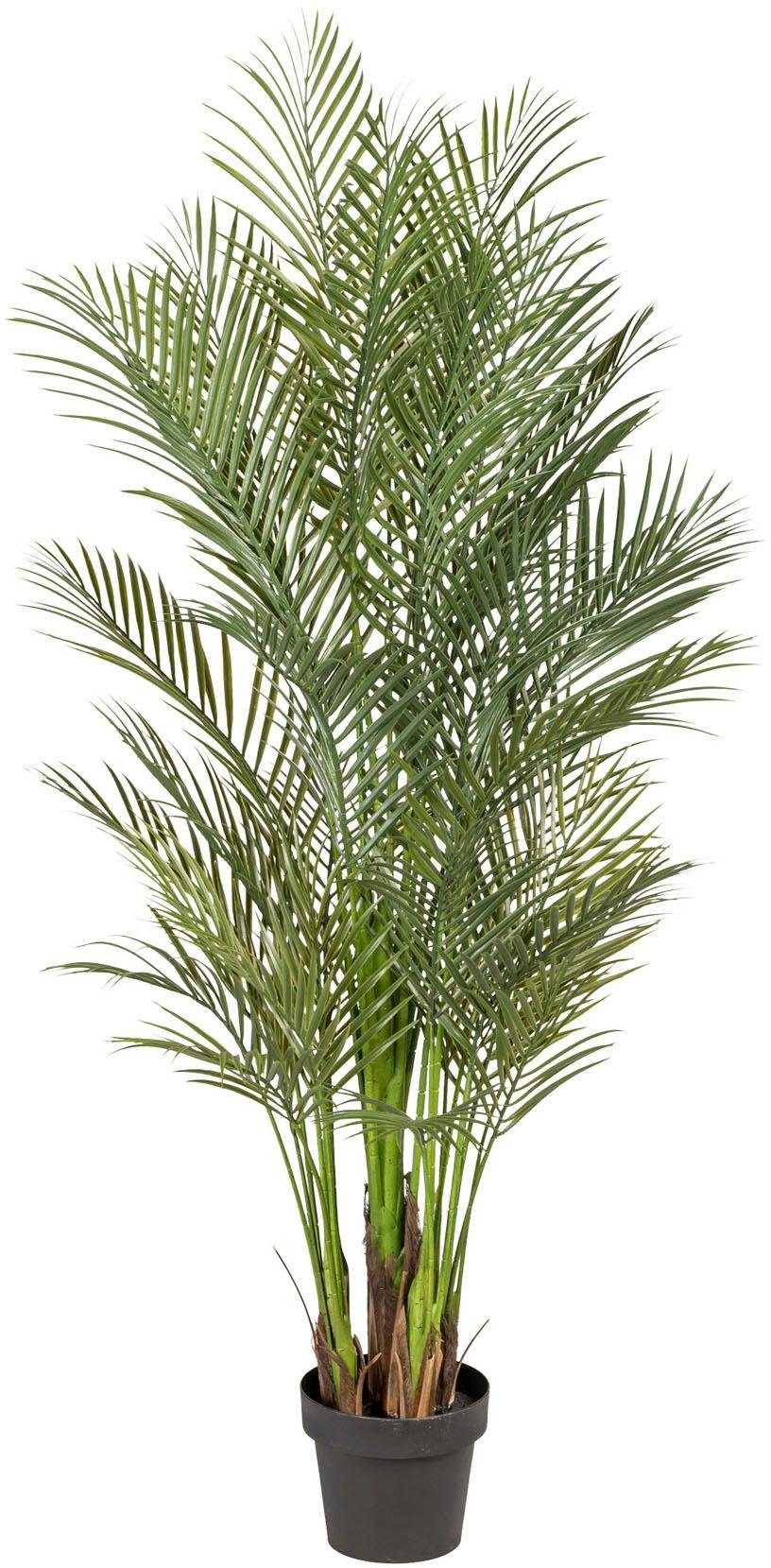 Kunstpalme Arecapalme Palme, Creativ green, Höhe 160 cm günstig online kaufen