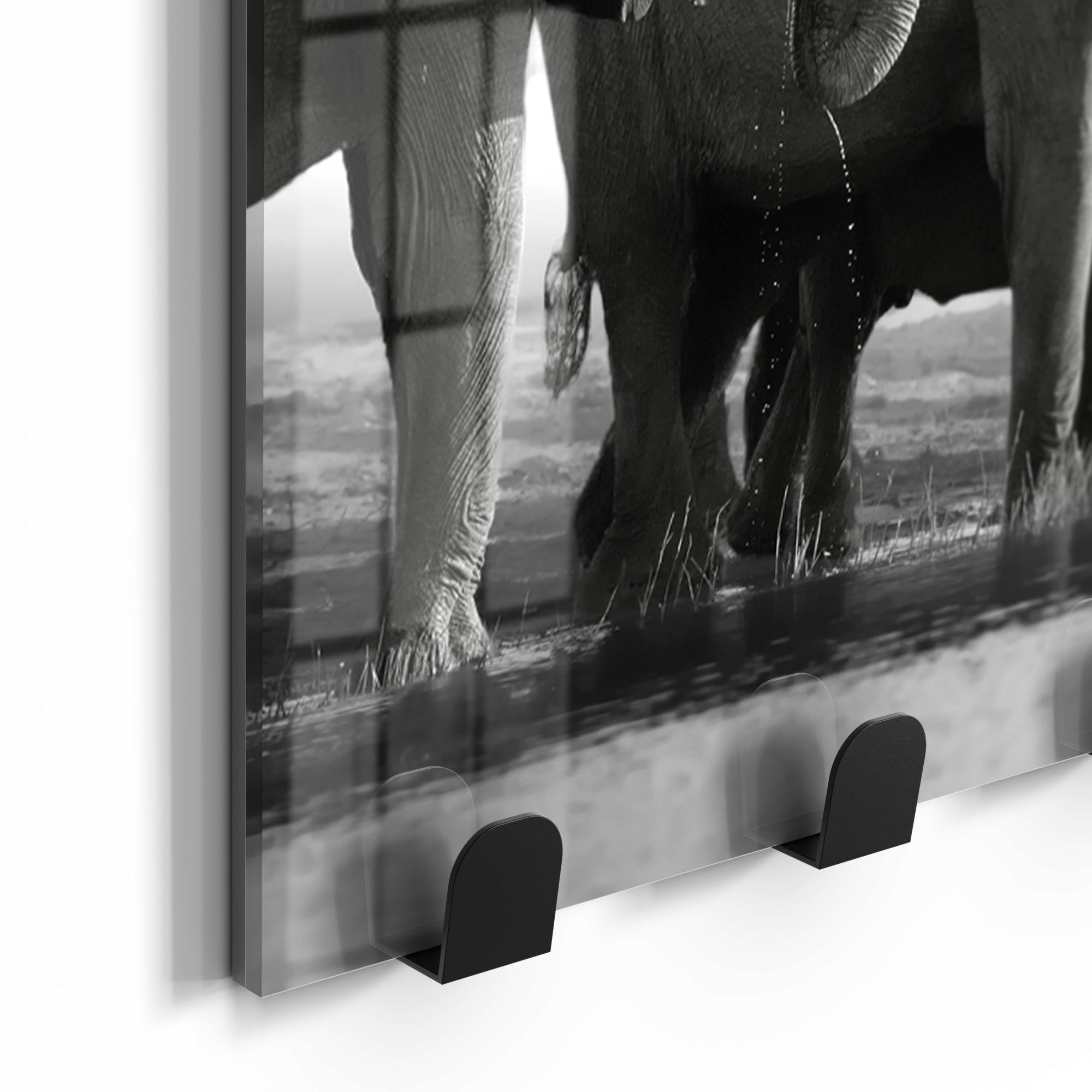 Glas Paneel 'Elefantenherde Wasser', Garderobe DEQORI magnetisch Kleiderhaken am beschreibbar