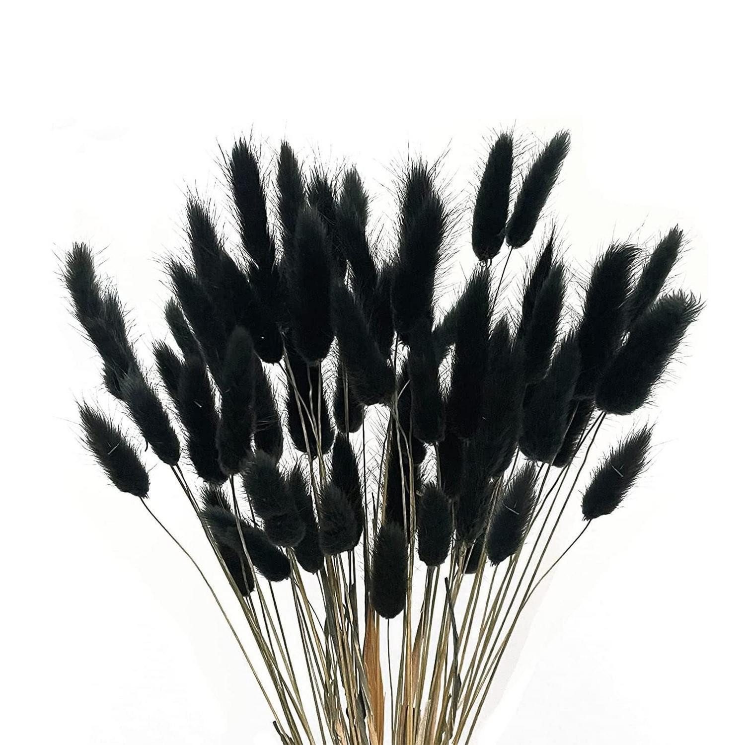 Trockenblume Pampasgras Schwarz 50St 40cm, LuxusKollektion