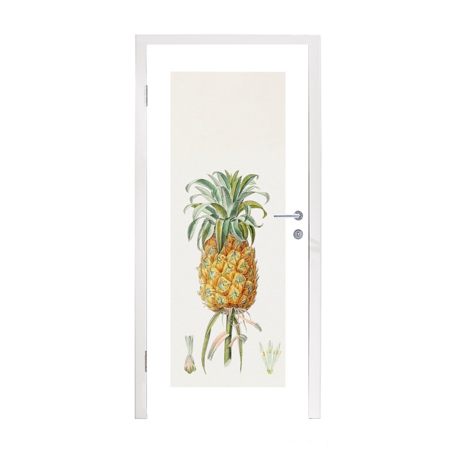 Tür, St), 75x205 Türtapete Türaufkleber, Fototapete bedruckt, - Matt, Ananas cm (1 MuchoWow Obst, für - Lebensmittel
