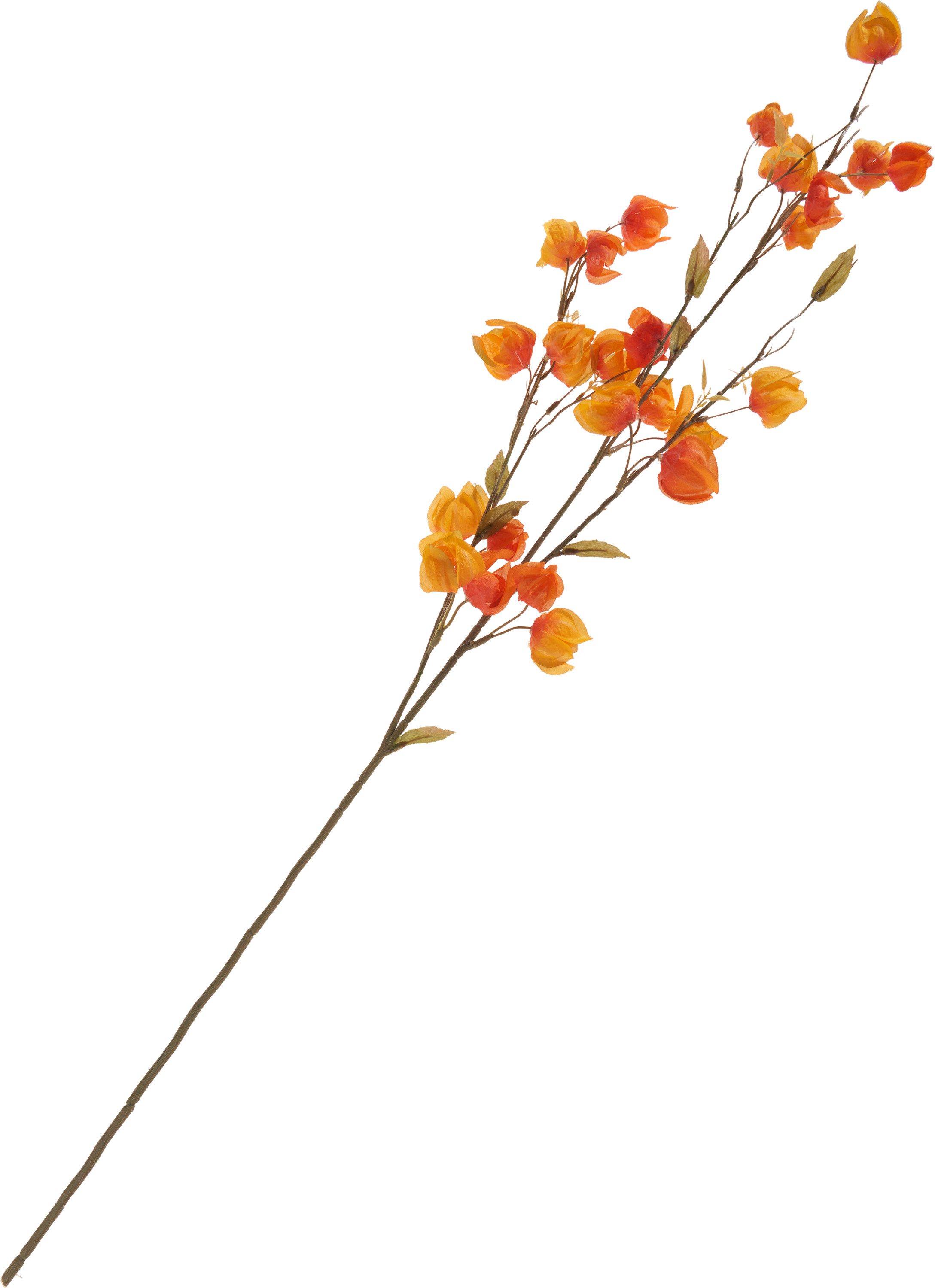 Kunstzweig Physalis-Zweig Elina, DPI, 94 cm