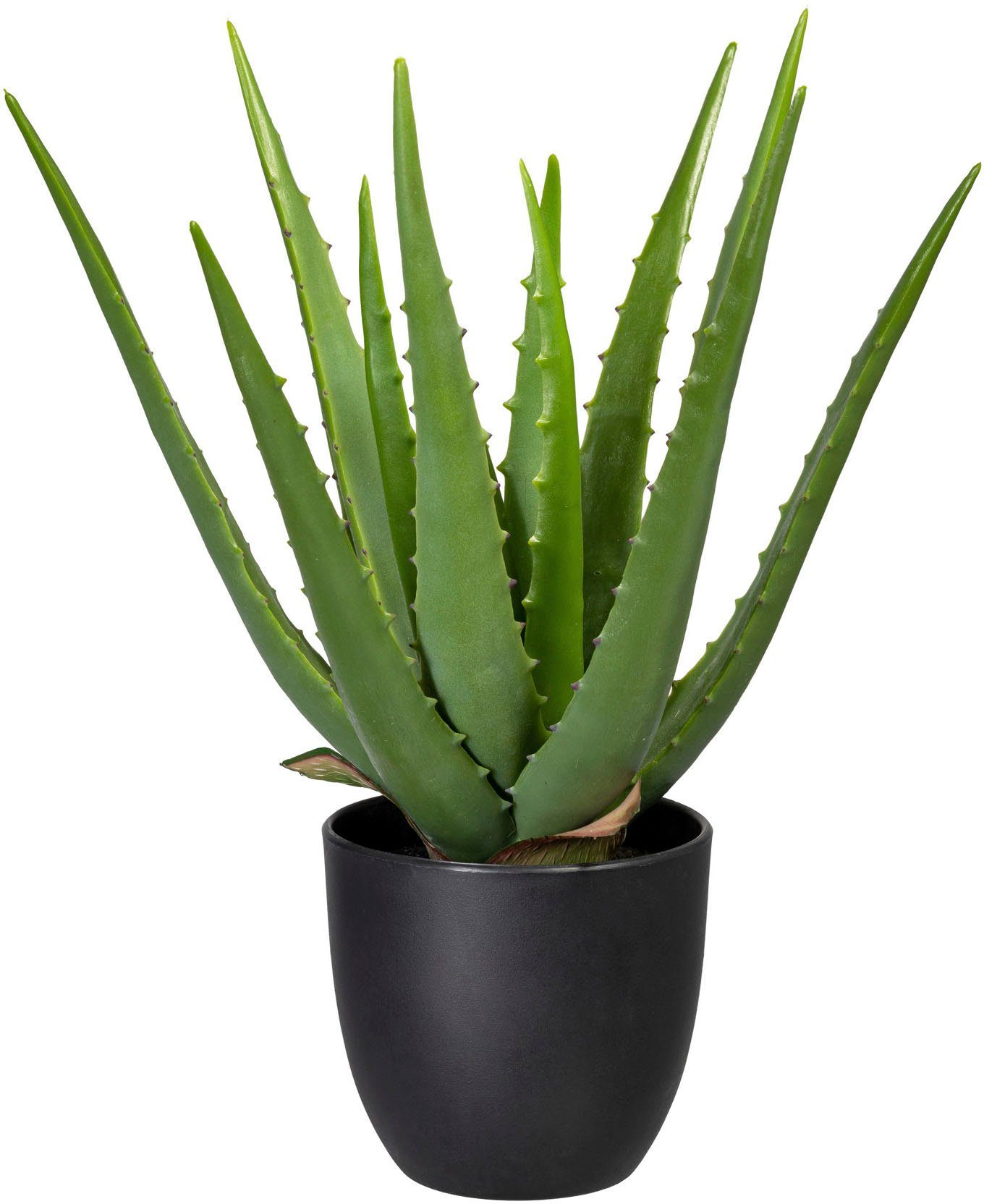 Künstliche Zimmerpflanze Aloe, Creativ green, Höhe 33 cm. Reduzierter Preis € 22,72. Unverbindliche Preisempfehlung € 27,99