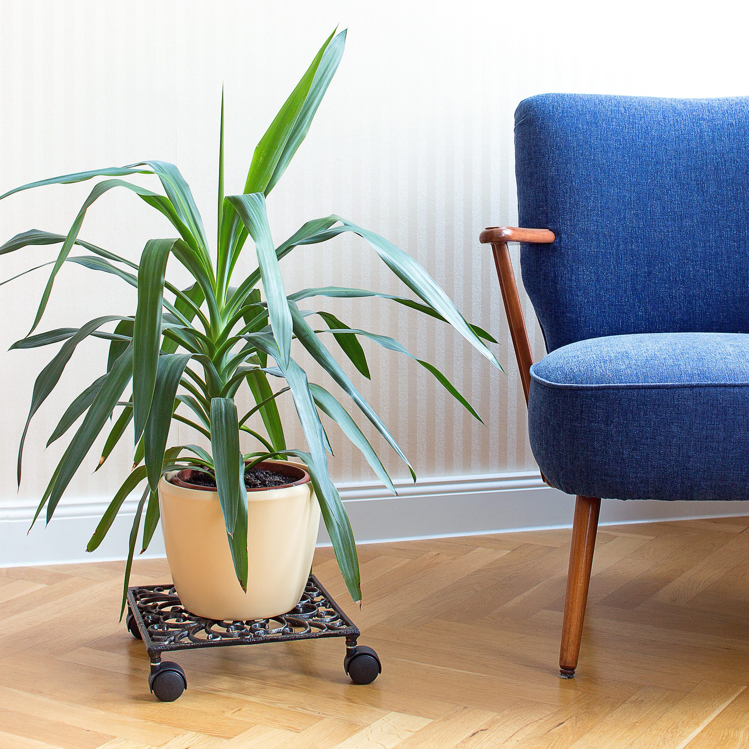 relaxdays Blumentopfuntersetzer Pflanzenroller Gusseisen, quadratisch günstig online kaufen