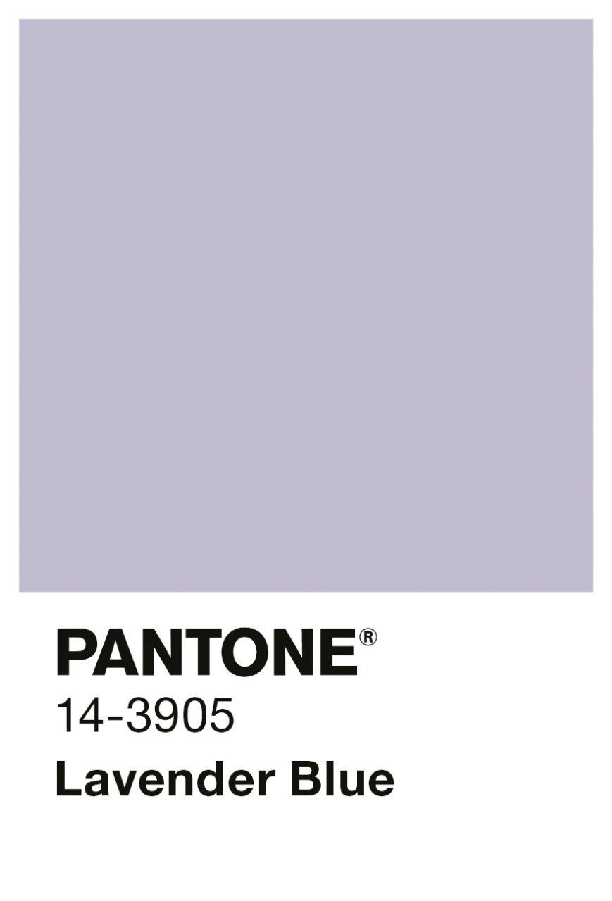 Alpina Wandfarbe Alpina Wandfarbe Pantone matt lavender blue 2,5 L – Bild 3 von 3