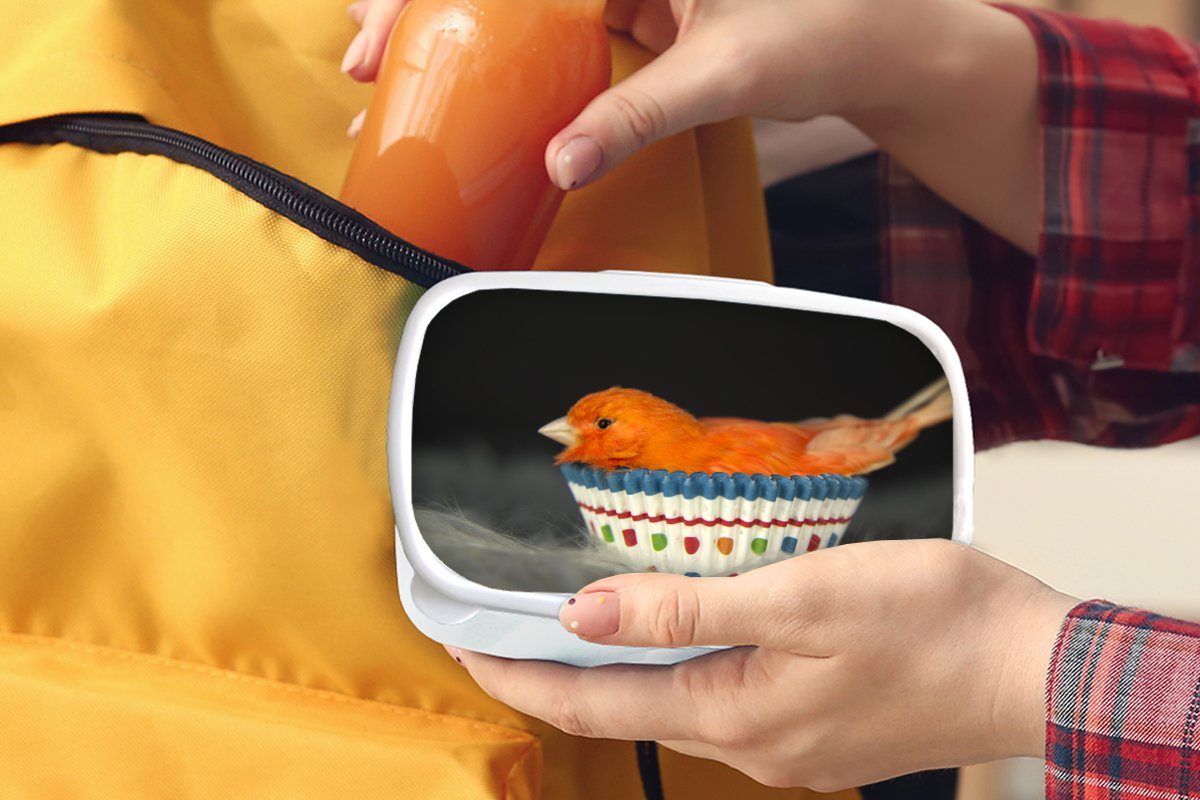 Mädchen Brotdose, Vogel Brotbox Portrait, - Lunchbox MuchoWow Jungs Erwachsene, (2-tlg), - und Kunststoff, für und für Muffinförmchen weiß Kinder