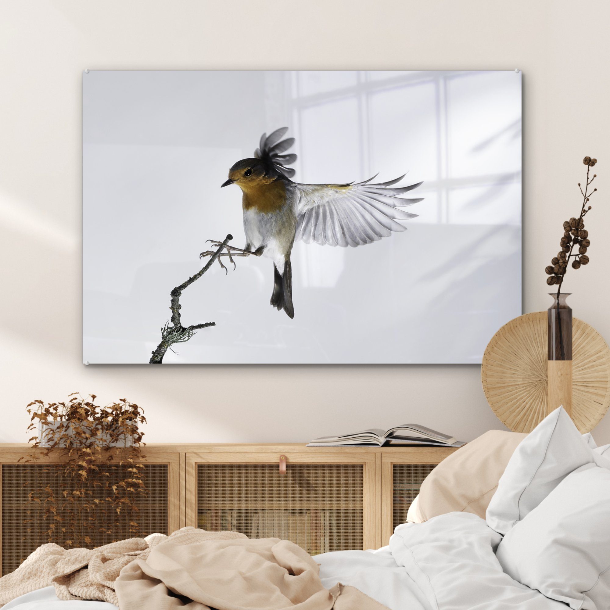 Acrylglasbilder Robin - Schlafzimmer (1 MuchoWow St), Zweig - Acrylglasbild Wohnzimmer Tiere, &