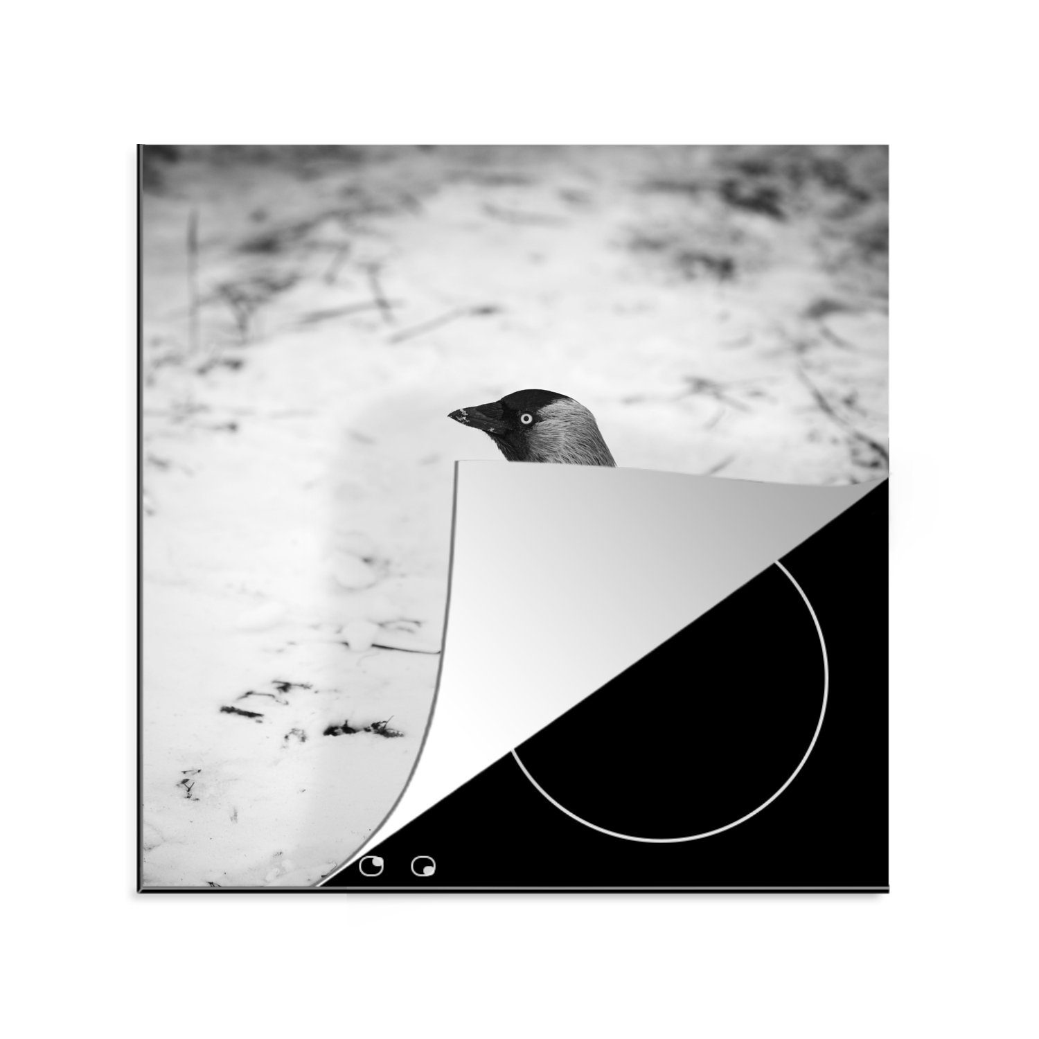 MuchoWow Herdblende-/Abdeckplatte Eine Dohle im Schnee im Winter, Vinyl, (1 tlg), 78x78 cm, Ceranfeldabdeckung, Arbeitsplatte für küche