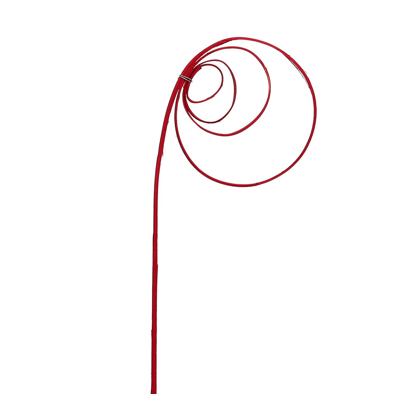 Trockenblume Cane Coil Weinrot Deko Holzspirale 25 St Floristikbedarf, 25 Stück, Viana, Höhe 10 cm